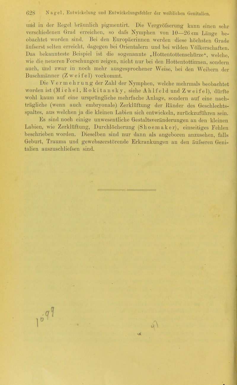 und in der Regel bräunlich pigmentirt. Die Vergröfserung kann einen sehr verschiedenen Grad erreichen, so dafs Nymphen von 10—26 cm Länge be- obachtet worden sind. Bei den Europäerinnen werden diese höchsten Grade äufserst selten erreicht, dagegen bei Orientalem und bei wilden Völkerschaften. Das bekannteste Beispiel ist die sogenannte „Hottentottenschürze“, welche, wie die neueren Forschungen zeigen, nicht nur bei den Ilottentottinnen, sondern auch, und zwar in noch mehr ausgesprochener Weise, bei den Weibern der Buschmänner (Zwei fei) vorkommt. Die Vermehr ung der Zahl der Nymphen, welche mehrmals beobachtet worden ist (M i c h e 1, Rokitansky, siehe A h 1 f e 1 d und Zweifel), dürfte wohl kaum auf eine ursprüngliche mehrfache Anlage, sondern auf eine nach- trägliche (wenn auch embryonale) Zerklüftung der Ränder des Geschlechts- spaltes, aus welchen ja che kleinen Labien sich entwickeln, zurückzuführen sein. Es sind noch einige unwesentliche Gestaltsveränderungen an den kleinen Labien, wie Zerklüftung, Durchlöcherung (Shoemaker), einseitiges Fehlen beschrieben worden. Dieselben sind nur dann als angeboren anzusehen, falls Geburt, Trauma und gewebszerstörende Erkrankungen an den äufseren Geni- talien auszuschliefsen sind. 1
