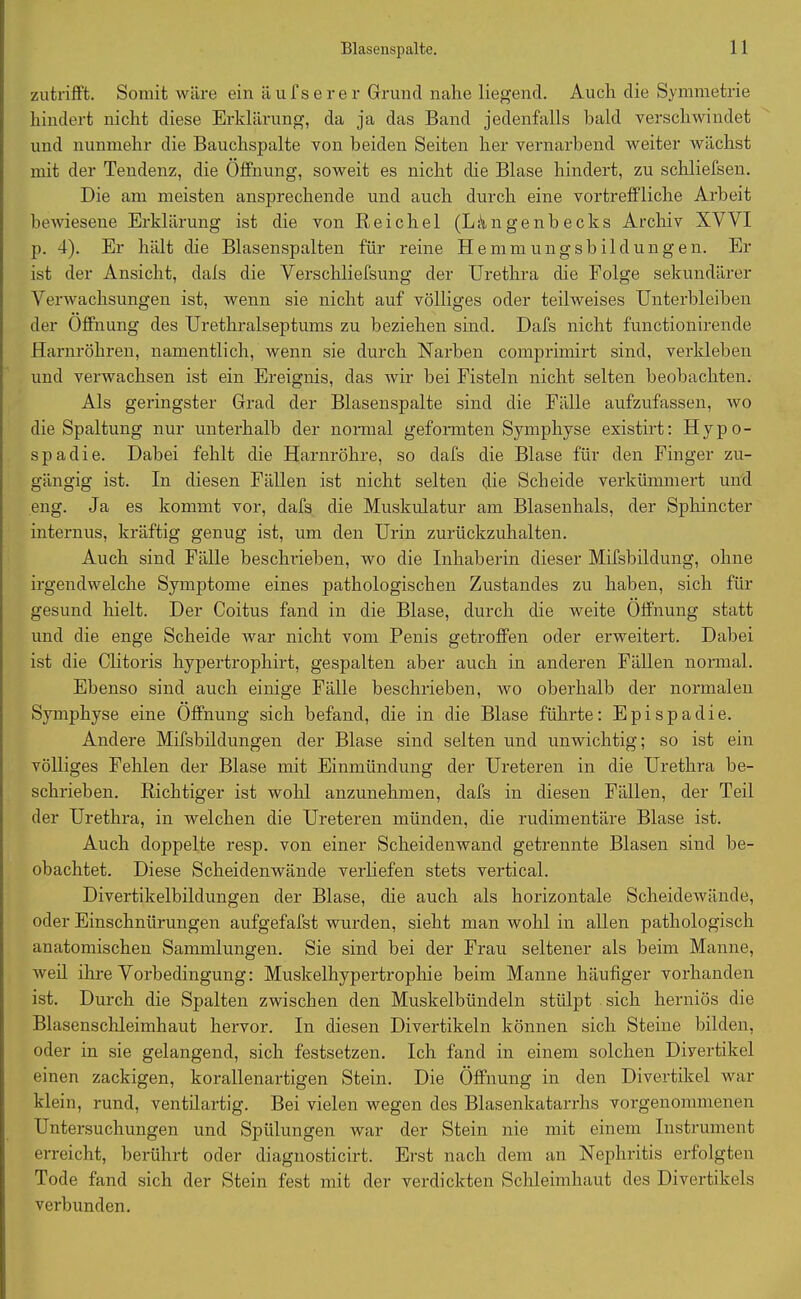 zutrifft. Somit wäre ein äufserer Grund nahe liegend. Auch die Symmetrie hindert nicht diese Erklärung, da ja das Band jedenfalls bald verschwindet und nunmehr die Bauchspalte von beiden Seiten her vernarbend weiter wächst mit der Tendenz, die Öffnung, soweit es nicht che Blase hindert, zu schliefsen. Die am meisten ansprechende und auch durch eine vortreffliche Arbeit bewiesene Erklärung ist die von Reichel (Längenbecks Archiv XVVI p. 4). Er hält die Blasenspalten für reine Hem m u n g s b i 1 d u n g e n. Er ist der Ansicht, dals die Verschliefsung der Urethra die Folge sekundärer Verwachsungen ist, wenn sie nicht auf völliges oder teilweises Unterbleiben der Öffnung des Urethralseptums zu beziehen sind. Dafs nicht functionirende Harnröhren, namentlich, wenn sie durch Narben comprimirt sind, verkleben und verwachsen ist ein Ereignis, das wir hei Fisteln nicht selten beobachten. Als geringster Grad der Blasenspalte sind die Fälle aufzufassen, wo die Spaltung nur unterhalb der normal geformten Symphyse existirt: Hypo- spadie. Dabei fehlt die Harnröhre, so dafs die Blase für den Finger zu- gängig ist. In diesen Fällen ist nicht selten die Scheide verkümmert und eng. Ja es kommt vor, dafs die Muskulatur am Blasenhals, der Sphincter internus, kräftig genug ist, um den Urin zurückzuhalten. Auch sind Fälle beschrieben, wo die Inhaberin dieser Mifsbildung, ohne irgendwelche Symptome eines pathologischen Zustandes zu haben, sich für gesund hielt. Der Coitus fand in die Blase, durch die weite Öffnung statt und die enge Scheide war nicht vom Penis getroffen oder erweitert. Dabei ist die Clitoris hypertrophirt, gespalten aber auch in anderen Fällen normal. Ebenso sind auch einige Fälle beschrieben, wo oberhalb der normalen Symphyse eine Öffnung sich befand, die in die Blase führte: Epispadie. Andere Mifsbildungen der Blase sind selten und unwichtig; so ist ein völliges Fehlen der Blase mit Einmündung der Ureteren in die Urethra be- schrieben. Richtiger ist wohl anzunehmen, dafs in diesen Fällen, der Teil der Urethra, in welchen die Ureteren münden, die rudimentäre Blase ist. Auch doppelte resp. von einer Scheidenwand getrennte Blasen sind be- obachtet. Diese Scheidenwände verliefen stets vertical. Divertikelbildungen der Blase, die auch als horizontale Scheidewände, oder Einschnürungen aufgefafst wurden, sieht man wohl in allen pathologisch anatomischen Sammlungen. Sie sind bei der Frau seltener als beim Manne, weil ihre Vorbedingung: Muskelhypertrophie beim Manne häufiger vorhanden ist. Durch die Spalten zwischen den Muskelbündeln stülpt sich herniös die Blasenschleimhaut hervor. In diesen Divertikeln können sich Steine bilden, oder in sie gelangend, sich festsetzen. Ich fand in einem solchen Diyertikel einen zackigen, korallenartigen Stein. Die Öffnung in den Divertikel war klein, rund, ventilartig. Bei vielen wegen des Blasenkatarrhs vorgenommenen Untersuchungen und Spülungen war der Stein nie mit einem Instrument erreicht, berührt oder diagnosticirt. Erst nach dem an Nephritis erfolgten Tode fand sich der Stein fest mit der verdickten Schleimhaut des Divertikels verbunden.