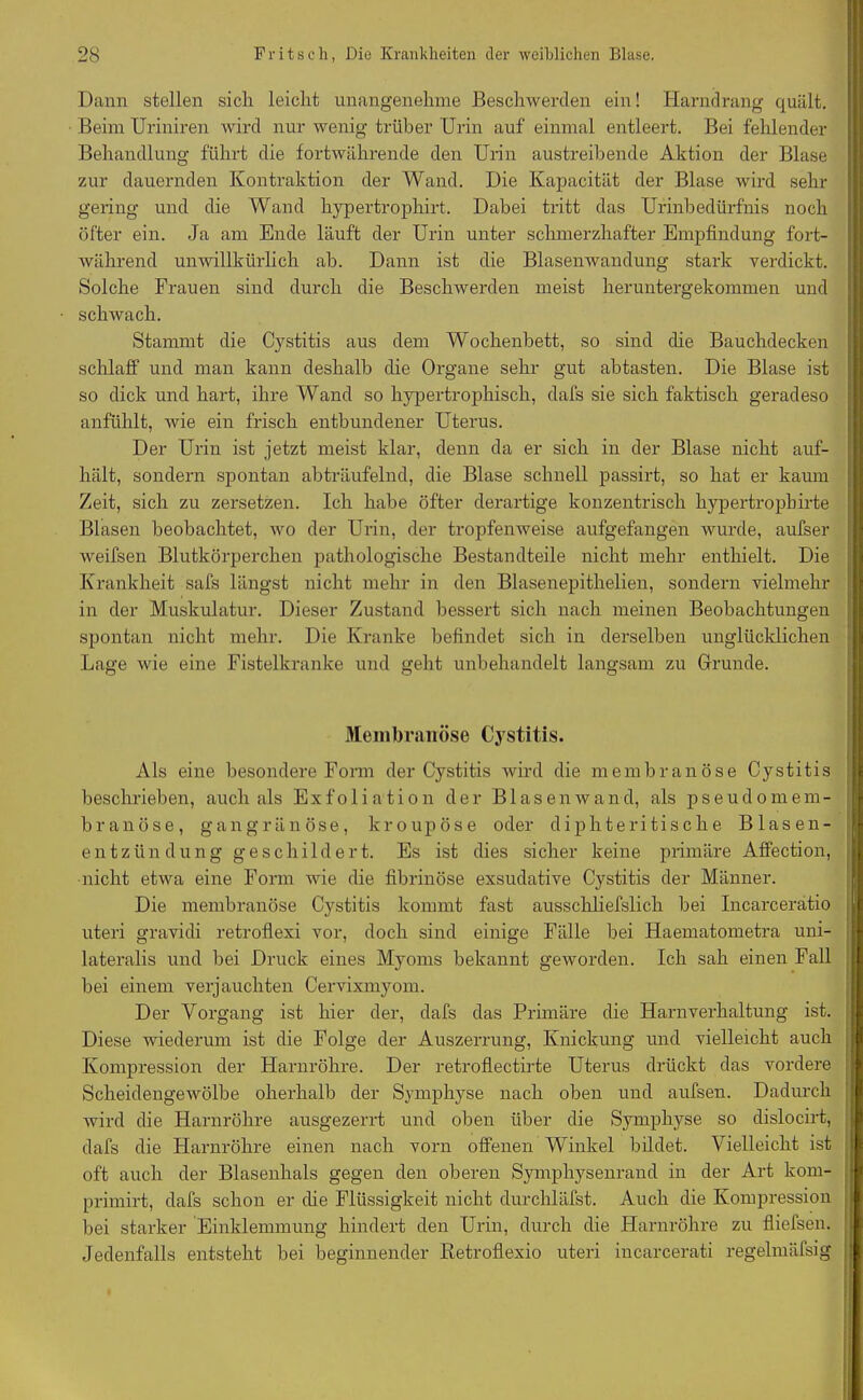 Dann stellen sich leicht unangenehme Beschwerden ein! Harndrang quält. Beim Uriniren wird nur wenig trüber Urin auf einmal entleert. Bei fehlender Behandlung führt die fortwährende den Urin austreibende Aktion der Blase zur dauernden Kontraktion der Wand. Die Kapacität der Blase wird sehr gering und die Wand hypertrophirt. Dabei tritt das Urinbedürfnis noch öfter ein. Ja am Ende läuft der Urin unter schmerzhafter Empfindung fort- während unwillkürlich ab. Dann ist die Blasenwandung stark verdickt. Solche Frauen sind durch die Beschwerden meist heruntergekommen und schwach. Stammt die Cystitis aus dem Wochenbett, so sind die Bauchdecken schlaff und man kann deshalb die Organe sehr gut abtasten. Die Blase ist so dick und hart, ihre Wand so hypertrophisch, dafs sie sich faktisch geradeso anfühlt, wie ein frisch entbundener Uterus. Der Urin ist jetzt meist klar, denn da er sich in der Blase nicht auf- hält, sondern spontan abträufelnd, die Blase schnell passirt, so hat er kaum Zeit, sich zu zersetzen. Ich habe öfter derartige konzentrisch hypertrophirte Blasen beobachtet, wo der Urin, der tropfenweise aufgefangen wurde, aufser weifsen Blutkörperchen pathologische Bestandteile nicht mehr enthielt. Die Krankheit safs längst nicht mehr in den Blasenepithelien, sondern vielmehr in der Muskulatur. Dieser Zustand bessert sich nach meinen Beobachtungen spontan nicht mehr. Die Kranke befindet sich in derselben unglücklichen Lage wie eine Fistelkranke und geht unbehandelt langsam zu Grunde. Membranöse Cystitis. Als eine besondere Form der Cystitis wird die membranöse Cystitis beschrieben, auch als Exfoliation der Blasenwand, als pseudomem- branöse, gangränöse, kroupöse oder diphteritisehe Blasen- entzündung geschildert. Es ist dies sicher keine primäre Affection, nicht etwa eine Form wie die fibrinöse exsudative Cystitis der Männer. Die membranöse Cystitis kommt fast ausschliefslicli bei Incarceratio uteri gravidi retroflexi vor, doch sind einige Fälle bei Haematometra uni- lateralis und bei Druck eines Myoms bekannt geworden. Ich sah einen Fall hei einem verjauchten Cervixmyom. Der Vorgang ist hier der, dafs das Primäre die Harnverhaltung ist. Diese wiederum ist die Folge der Auszerrung, Knickung und vielleicht auch Kompression der Harnröhre. Der retroflectirte Uterus drückt das vordere Scheidengewölbe oberhalb der Symphyse nach oben und aufsen. Dadurch wird die Harnröhre ausgezerrt und oben über die Symphyse so dislocirt, dafs die Harnröhre einen nach vorn offenen Winkel bildet. Vielleicht ist oft auch der Blasenhals gegen den oberen Symphysenrand in der Art kom- primirt, dafs schon er che Flüssigkeit nicht durchläufst. Auch die Kompression bei starker Einklemmung hindert den Urin, durch die Harnröhre zu fliefsen. Jedenfalls entsteht bei beginnender Retroflexio uteri incarcerati regelmäfsig