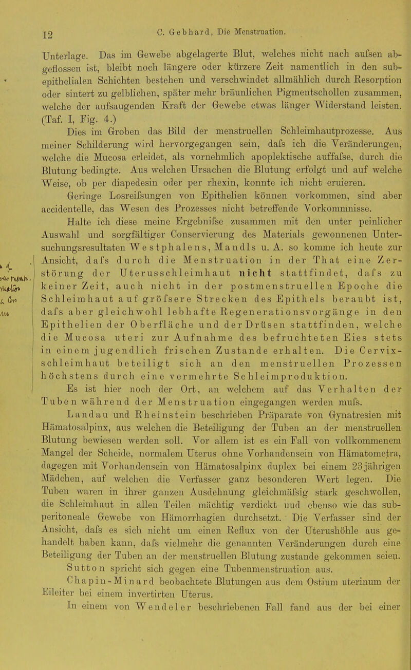 k i miü* 4 AU, Unterlage. Das im Gewebe abgelagerte Blut, welches nicht nach aufsen ab- geflossen ist, bleibt noch längere oder kürzere Zeit namentlich in den sub- epithelialen Schichten bestehen und verschwindet allmählich durch Resorption oder sintert zu gelblichen, später mehr bräunlichen Pigmentschollen zusammen, welche der aufsaugenden Kraft der Gewebe etwas länger Widerstand leisten. (Taf. I, Fig. 4.) Dies im Groben das Bild der menstruellen Schleimhautprozesse. Aus meiner Schilderung wird hervorgegangen sein, dafs ich die Veränderungen, welche die Mucosa erleidet, als vornehmlich apoplektisclae auffafse, durch die Blutung bedingte. Aus welchen Ursachen die Blutung erfolgt und auf welche Weise, ob per diapedesin oder per rkexin, konnte ich nicht eruieren. Geringe Losreifsungen von Epithelien können Vorkommen, sind aber accidentelle, das Wesen des Prozesses nicht betreffende Vorkommnisse. Halte ich diese meine Ergebnifse zusammen mit den unter peinlicher Auswahl und sorgfältiger Conservierung des Materials gewonnenen Unter- suchungsresultaten Westphalens, Mandls u. A. so komme ich heute zur Ansicht, dafs durch die Menstruation in der That eine Zer- störung der Uterusschleimhaut nicht stattfindet, dafs zu keiner Zeit, auch nicht in der post menst ruellen Epoche die Schleimhaut auf gröfsere Strecken des Epithels beraubt ist, dafs aber gleichwohl lebhafte R e g e n e r a t i o n s v o r g ä n g e in den Epithelien der Oberfläche und der Drüsen stattfinden, welche die Mucosa uteri zur Aufnahme des befruchteten Eies stets in einem jugendlich frischen Zustande erhalten. Die Cervix- sclileimhaut beteiligt sich an den menstruellen Prozessen höchstens durch eine vermehrte Schleimproduktion. Es ist hier noch der Ort, an welchem auf das Verhalten der Tuben während der Menstruation eingegangen werden mufs. Landau und Rheinstein beschrieben Präparate von Gynatresien mit Hämatosalpinx, aus welchen die Beteiligung der Tuben an der menstruellen Blutung bewiesen werden soll. Vor allem ist es ein Fall von vollkommenem Mangel der Scheide, normalem Uterus ohne Vorhandensein von Hämatometra, dagegen mit Vorhandensein von Hämatosalpinx duplex bei einem 23jälirigen Mädchen, auf welchen die Verfasser ganz besonderen Wert legen. Die Tuben waren in ihrer ganzen Ausdehnung gleichmäfsig stark geschwollen, die Schleimhaut in allen Teilen mächtig verdickt uud ebenso wie das sub- peritoneale GeAvebe von Hämorrhagien durchsetzt. Die Verfasser sind der Ansicht, dafs es sich nicht um einen Reflux von der Uterushöhle aus ge- handelt haben kann, dafs vielmehr die genannten Veränderungen durch eine Beteiligung der Tuben an der menstruellen Blutung zustande gekommen seien. Sutton spricht sich gegen eine Tubenmenstruation aus. Chapin-M i n a r d beobachtete Blutungen aus dem Ostium uterinum der Eileiter bei einem invertirten Uterus. In einem von Wendel er beschriebenen Fall fand aus der bei einer