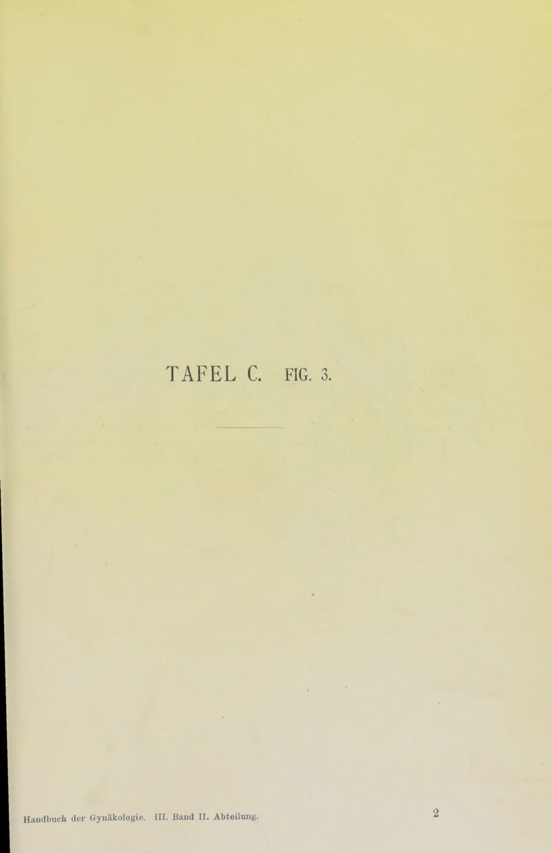 Handbuch der Gynäkologie. III. Band II. Abteilung.