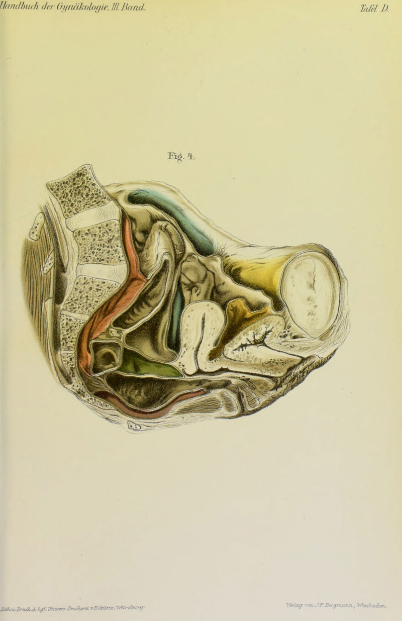 fidiulhuch (/('f (rif/ifi/wlo(ji(: Ill.lUdid. T(Jä 1).