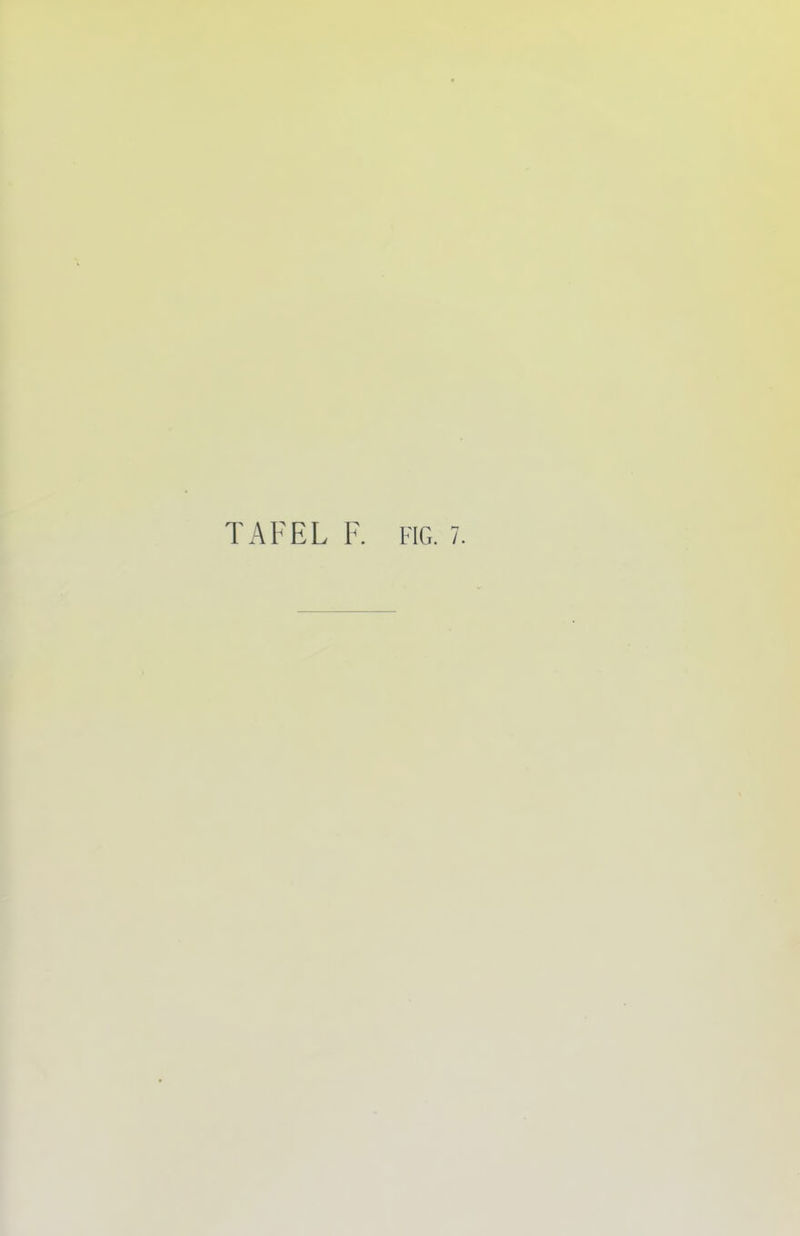 TAFEL F. FIG. 7.