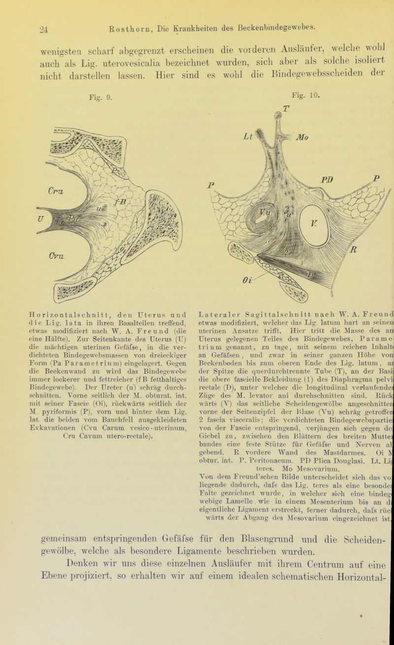 wenigsten scharf abgegrenzt erscheinen die vorderen Ausläufer, welche wohl auch als Lig. uterovesicalia bezeichnet wurden, sich aber als solche isoliert nicht darstellen lassen. Hier sind es wohl die Bindegewebsscheiden der Fig. 9. Fig. 10. H o r i z 0 n t a 1 s c h n i 11, den ü t o r u s und dio Lig. lata in ihren Basalteilen treft'end, etwas modifiziert nacli W. A. Freund (die eine Hälfte). Zur Seitenkante des Uterus (ü) dio luäclitigen uterinen GefäCse, iu die ver- dichteten Bindegewebsmassen von dreieckiger Form (Pa Paramctrium) eingelagert. Gegen die Beckenwand zu wird das Bindegewebe immer lockei'er und fettreicher (f B fetthaltiges Bindegowebe). Der Ureter (u) schräg durch- schnitten. Vorne seitlich der M. obturat. int. mit seiner Fascic (Oi), riickwärts seitlicli der M. pyriformis (P), vorn und hinter dem Lig. lat. die beiden vom Bauchfell ausgekleideten E.vkavationen (Cvu Carum vosico-utcrinum, Cru Cavum utero-rectale). OE Lateraler S a gi 11 al sc hn i 11 nacii W.A.Freund etwas modifiziert, Mclcher das Lig latiini hart an seinen uterinen Ansätze triflTt, Hier tritt die Masse des anc Uterus gelegenen Teiles des Bindegewebes, ParaniC' tri um genannt, zu tage, mit seinem reichen Inhalt« an Gefäfsen, und zwar in seiner ganzen Höhe voa Beckenboden bis zum oberen Endo des Lig. latuni , ar der Spitze die querdurchtrennte Tube (T), an der Basi die obere fascielle Bekleidung (1) des Diaphragma pelv rectale (D), unter Avelcher die longitudiiuil vcrlaufondei Züge des M. levator ani durchschnitten sind. Biic wärts (V) das seitliche Scboidengewölbe angeschnitten vorne der Seiteuzipfel der Blase (Vu) schräg gotrofft 2 fascia visccralis; dio verdichteten Bindegewebs]>artie von der Fascie entspringend, verjüngen sich gegen de Giebel zu, zwischen den Blättern des breiten Mutle bandes eine feste Stütze für Gefäfse und Nerven a gebend. R vordere Wand des Mastdarmes. Oi \ obtur. int. P. Peritonaeum. PD Plica Douglasi. Lt. Li teres. Mo Mesovarium. Von dem Fround'schon Bilde unterscheidet sich das v( liegende dadurcli, dal's das Lig. teres als eine besonde Falte gezeichnet wurde, in welcher sich eine biudegi webige Lamelle wie iu einem ]\Iosenterium bis an eigentliche Ligament erstrockt, ferner dadurch, dai's rüc wärts der Abgang des Mesovarium eingezeichnet ist gemeinsam entspringenden Gefäfse für den Blasengrund und die Scheiden- gewölbe, welche als besondere Ligamente beschrieben wurden. Denken wir uns diese einzelnen Ausläufer mit ihrem Centrum auf eine Ebene projiziert, so erhalten wir auf einem idealen schematischen Horizontal-