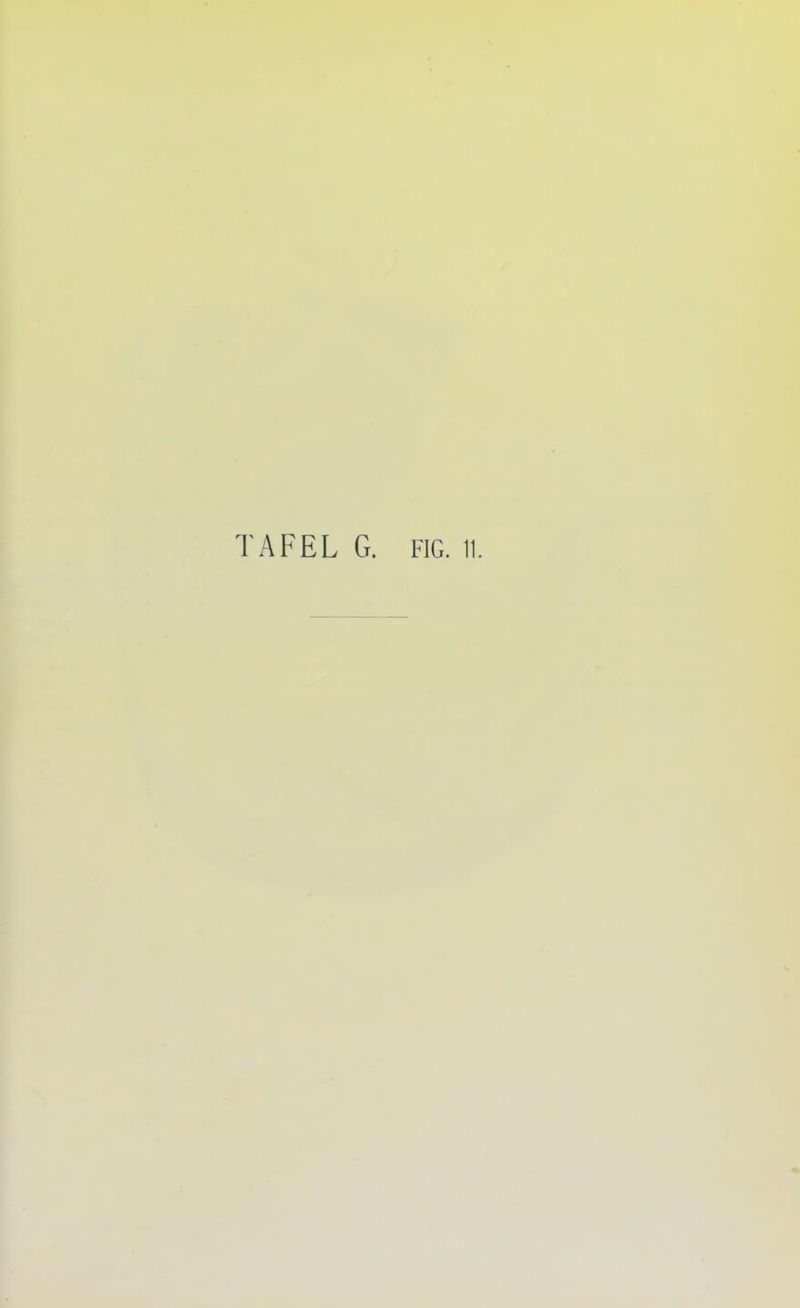 TAFEL G. FIG. 11.