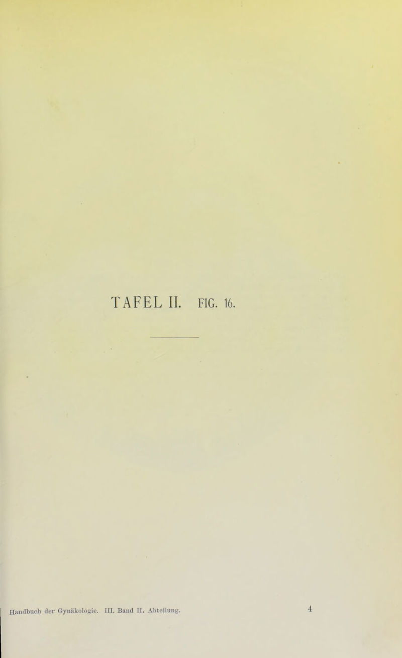 Handbuch der Gynäkologie. III. Band II. Abteilnng.