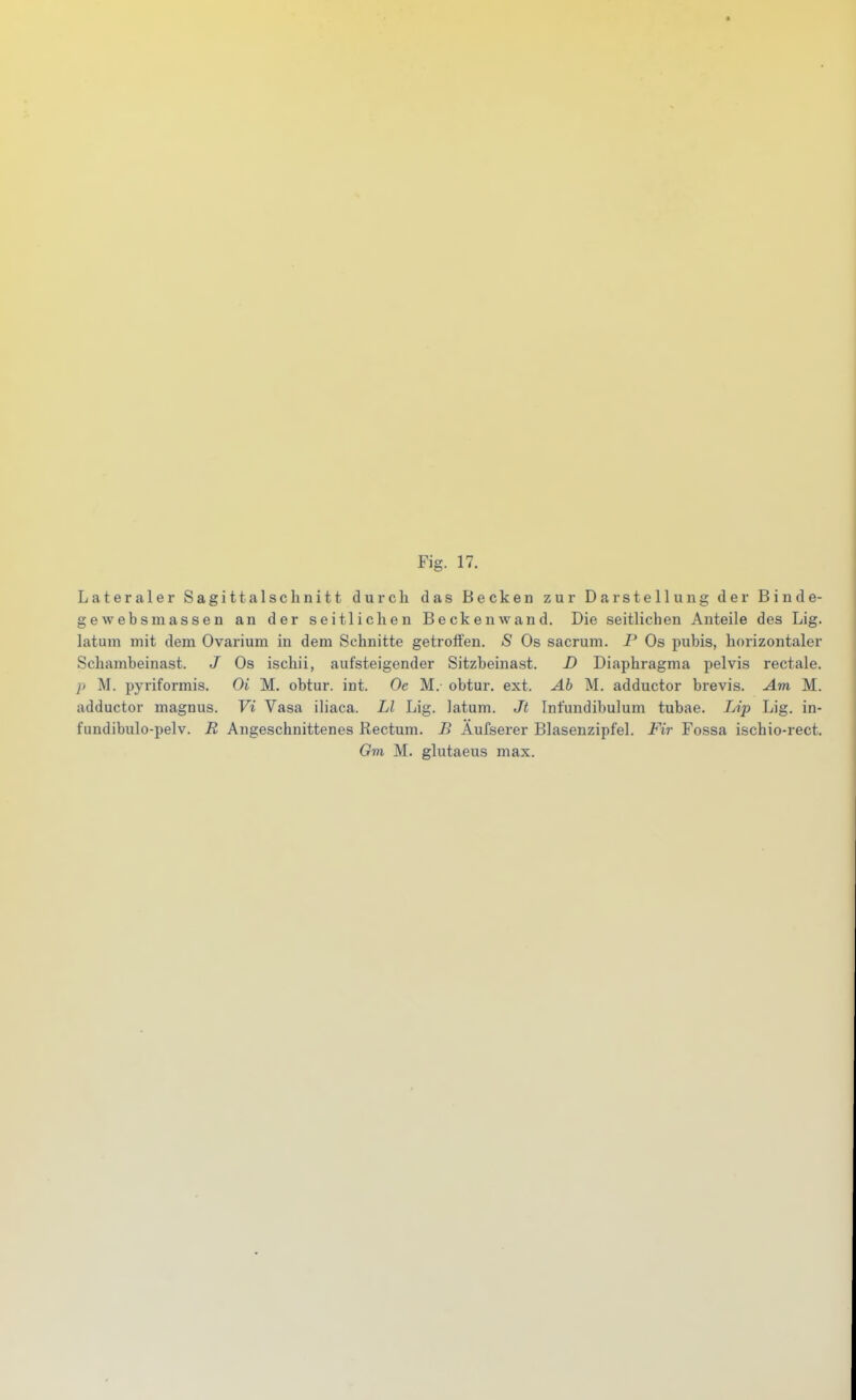 Lateraler Sagittalschnitt durch das Becken zur Darstellung der Binde- gewebsmassen an der seitlichen Beckenwand. Die seitlichen Anteile des Lig. latum mit dem Ovarium in dem Schnitte getroffen. S Os sacrum. P Os pubis, horizontaler Schambeinast. J Os ischii, aufsteigender Sitzbeinast. D Diaphragma pelvis rectale. p M. pyriformis. Oi M. obtur. int. Oe M. obtur. ext. Ab M. adductor brevis. Am M. adductor magnus. Vi Vasa iliaca. LI Lig. latum. Jt Infundibulum tubae. Lip Lig. in- fundibulo-pelv. R Angeschnittenes Rectum. B Aufserer Blasenzipfel. Fir Fossa ischio-rect. Gm M. glutaeus max.