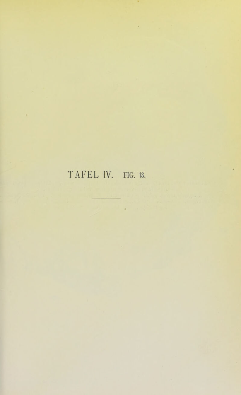 t TAFEL IV. FIG. 18.
