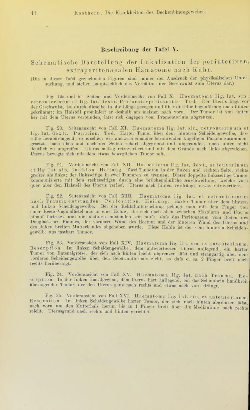 Beschreibung der Tafel V. Sclieiiuitische Darstellung- der Lokalisation der i)eriuterinen, extraperitonaealen Hämatome nach Kuhn. (Die in (liest-r Tafel gezeiehueten Figuren sind immer der Ausdruek der physikalischen Unter- suchung, und stellen liauptsiiohlich das Verliältuis der Geschwulst zum Uterus dar.) Fig. 19a und b. Seiten- und Vorderansieht von Fall X. Haematoma 1 i g. lat. sin, ret routerinum et lig. lat. dextr. Fe r i or a t i vpe r i t o n i t is. Tod. Der Uterus liegt vor der Geschwulst, ist durch dieselbe in die Länge gezogen und über diescllje bogenförmig nach hinten gekrümmt; im Halsteil proniiniert er deshalb mn meisjen nach vorn. Der Tumor ist von unten her mit dem Uterus verbunden, läfst sich dagegen vom Promontorium abgrenzen. Fig. 20. Seitenansicht von Fall XI. Haematoma lig. lat. sin., r e t r ou tcr i n u ni et lig. lat. dextr. Function. Tod. Harter Tumor über dem hinteren Sclieidengewölbe, das- selbe herabdrängend; er erschien wie aus zwei einander berührenden kugeligen Partien zusammen- gesetzt, nach oben und nach den Seiten scliarf abgegrenzt und abgerundet, nach unten nicht deutlich zu umgreifen. Uterus mäfsig retrovertierl und mit dem Grunde nach Vmks abgewichen. Uterus bewegte sicii mit dem etwas beweglichen Tumor mit. Fig. 21. Vorderansicht von Fall XII. Haematoma lig. lat. dext., a n t e u t e r i n u m et lig. lat. sin. Incision. Heilung. Zwei Tumoren in der linken und rechten Seite, rechts gröfser als links; der linksseitige in zwei Tumoren zu trennen. Dieser doj)pelte linksseitige Tumor kommunizierte mit dem rechtsseitigen durch eine brückeniihnliclie Anscliwellung, welche vorn quer über den Halsteil des Uterus verlief. Uterus nach hinten verdrängt, etwas retrovertiert. Fig. 22. Seitenansicht von Fall Xlll. Haematoma lig. lat. et r e t r o u t e r i n u m nach Trauma entstanden. Perforation. Heilung. Harter Tumor über dem liinterii und linken Scheidengewölbe. Bei der Rekfaluntersuchung gelangt man mit dem Finger von einer Recto-Vaginalfistel aus in eine Höhle, die sicii nach oben zwisclien Mastdarm und Uterus hinauf fortsetzt und die dadurch entstanden sein mufs, dafs das Peritonaeum vom Boden des Douglas'schen Raumes, der vorderen Wand des Rectum und der hinteren Wand des Uterus und des linken breiten Mutterbandes abgehoben wurde. Diese Höhle ist der vom hinteren Sclieiden- gewöll)e aus tastbare Tumor. Fig. 23. Vorderansieht von Fall XIV. Haematoma lig. lat. sin. et au te u te ri n u m. Resorption. Im linken ScheidengewöU^e, dem antevertierten Uterus anliegend, ein harter Tumor von Enteneigröfse, der sicli nacii hinten leicht abgrenzen läfst und straugartig über dem vorderen Scheidengewölbe über den Gebärmutterhals zielit, so dafs er ca. 2 Finger breit nach rechts lierüberragt. Fig. 24. Vorderansiciit von Fall XV. Haematoma lig. lat. nach Trauma. Re- sorption. In der linken Iliacalgegend, dem Uterus luirt anliegend, ein das Schambein handbreit überragender Tumor, de)- den Uterus ganz nach rechts und etwas nacli vorn drängt. Fig. 25. Vorderansicht von Fall XVI. Haematoma lig. lat. sin. et anteuterinum Resorption. Im linken Scheidengewöibe harter Tumor, der sich nach liinten abgrenzen läfst nach vorn um den :Mutterhals herum bis zu 1 Finger breit über .die Medianlinie nach redits reicht. Uterusgrund nach reciits und hinten gerichtet.