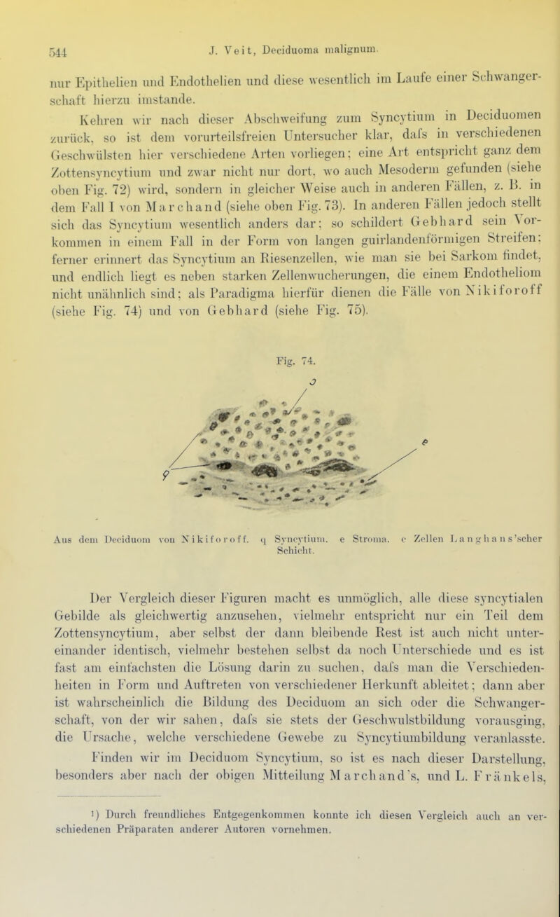 nur Epithelien und Endotlielien und diese wesentlich im Laufe einer Schwanger- schaft hierzu imstande. Kehren wir nach dieser Abschweifung zum Syncytium in Deciduomen zurück, so ist dem vorurteilsfreien Untersucher klar, dafs in verschiedenen Geschwülsten hier verschiedene Arten vorliegen; eine Art entspricht ganz dem Zottensyncytium und zwar nicht nur dort, wo auch Mesoderm gefunden (siehe oben Fig. 72) wird, sondern in gleicher Weise auch in anderen Fällen, z. B. m dem Fall 1 von Marchand (siehe oben Fig. 73). In anderen Fällen jedoch stellt sich das Syncytium wesentlich anders dar: so schildert Gebhard sein Vor- kommen in einem Fall in der Form von langen guirlandenförmigen Streifen: ferner erinnert das Syncytium an Riesenzellen, wie man sie bei Sarkom findet, und endlich liegt es neben starken Zellenwucherungen, die einem Endotheliom nicht unähnlich sind: als Paradigma hierfür dienen die Fälle von Nikiforoff {siehe Fig. 74) und von Gebhard (siehe Fig. 75). Aus dem Dccidiiom von N i U i f <> r o I'I'. {\ Syncytium. e Stromn. c Zellen a n g h a n s'scher Schieb t. Der Vergleich dieser Figuren macht es unmöglich, alle diese syncytialen Gebilde als gleichwertig anzusehen, vielmehr entspricht nur ein Teil dem Zottensyncytium, aber selbst der dann bleibende Rest ist auch nicht unter- einander identisch, vielmehr bestehen selbst da noch Unterschiede und es ist fast am einfachsten die Lösung darin zu suchen, dafs man die Verschieden- heiten in Form und Auftreten von verschiedener Herkunft ableitet: dann aber ist wahrscheinlich die Bildung des Deciduom an sich oder die Schwanger- schaft, von der wir sahen, dafs sie stets der Geschwulstbildung vorausging, die Ursache, welche verschiedene Gewebe zu Syncytiumbildung veranlasste. Finden wir im Deciduom Syncytium, so ist es nach dieser Darstellung, besonders aber nach der obigen Mitteilung M archands, und L. Frankels. 1) Durch freundliches Entgegenkommen konnte icli diesen Vergleich auch an ver- schiedenen Präparaten anderer Autoren vornehmen.