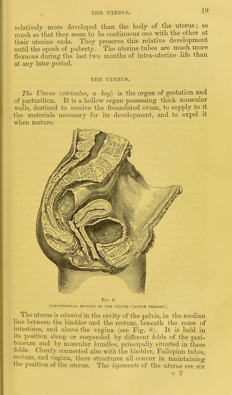 relatively more developed than the body of the uterus; so much so that they seem to he continuous one with the other at their uterine ends. They preserve this relative development until the epoch of puberty. The uterine tubes are much more flexuous during the last two months of intra-uterine life than at any later period. THE UTERUS. The Uterus (ufriculus, a bag) is the organ of gestation and of parturition. It is a hollow organ possessing thick muscular walls, destined to receive the fecundated ovum, to supply to it the materials necessary for its development, and to expel it when mature. Fio. 8. LONGITUDINAL SECTION OF THE PELVIS—(AFTER BREI8KY). The uterus is situated in the cavity of the pelvis, in the median line between the bladder and the rectum, beneath the mass of intestines, and above the vagina (see Fig. 8). It is held in its position slung or suspended by different folds of the peri- toneum and by muscular bundles, principally situated in these folds. Closely connected also with the bladder, Fallopian tubes, rectum,,and vagina, these structures all concur in maintaining the position of the uterus. The ligaments of the uterus are six e 2