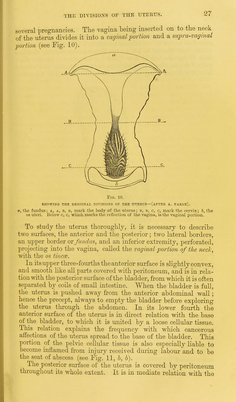 several pregnancies. The vagina being inserted on to the neck of the uterus divides it into a vaginal portion and a supra-vagi nal portion (see Fig. 10). Fig. 10. SHOWING THE REGIONAL DIVISIONS OF THE UTERUS—(AFTER A. FARkE). a, the fundus; a, a, b, b, mark the body of the uterus; b, b, c, c, mark the cervix; b, the os uteri. Below o, c, which marks the reflection of the vagina, is the vaginal portion. To study the uterus thoroughly, it is necessary to describe two surfaces, the anterior and the posterior; two lateral borders, an upper border or fundus, and an inferior extremity, perforated, projecting into the vagina, called the vaginal portion of the neck, with the os tincm. In its upper three-fourths the anterior surface is slightly convex, and smooth like all parts covered with peritoneum, and is in rela- tion with the posterior surface of the bladder, from which it is often separated by coils of small intestine. When the bladder is full, the uterus is pushed away from the anterior abdominal wall; hence the precept, always to empty the bladder before exploring the uterus through the abdomen. In its lower fourth the anterior surface of the uterus is in direct relation with the base of the bladder, to which it is united by a loose cellular tissue. This relation explains the frequency with which cancerous affections of the uterus spread to the base of the bladder. This portion of the pelvic cellular tissue is also especially liable to become inflamed from injury received during labour and to be the seat of abscess (see Pig. 11, b, b). The posterior surface of the uterus is covered by peritoneum throughout its whole extent. It is in mediate relation with the