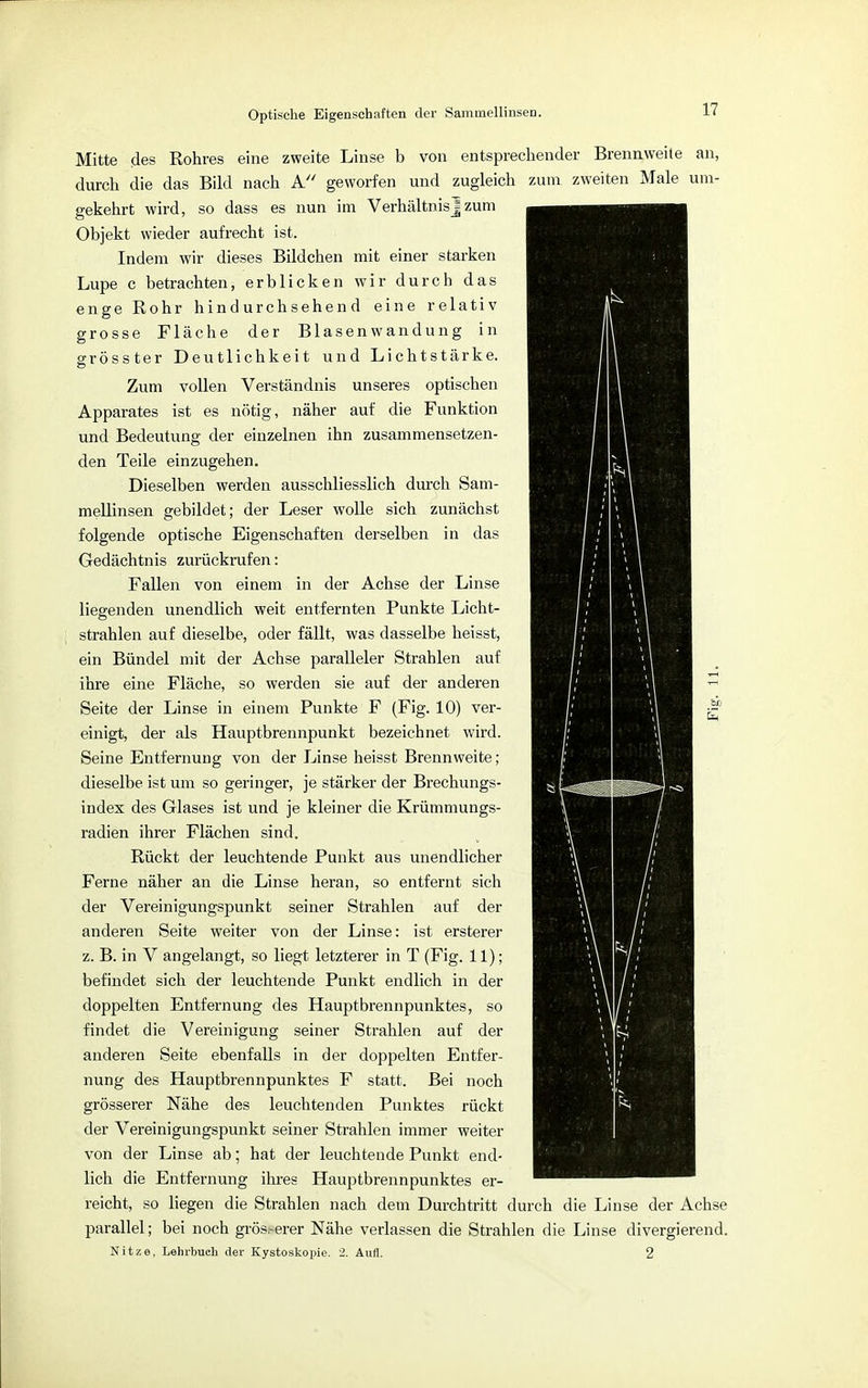 Optische Eigenschaften der Sammellinsen. Mitte des Rohres eine zweite Linse b von entsprechender Brennweite an, durch die das Bild nach A geworfen und zugleich zum zweiten Male um- gekehrt wird, so dass es nun im Verhältnisj zum Objekt wieder aufrecht ist. Indem wir dieses Bildchen mit einer starken Lupe c betrachten, erblicken wir durch das enge Rohr hindurchsehend eine relativ grosse Fläche der Blasen wandung in grösster Deutlichkeit und Lichtstärke. Zum vollen Verständnis unseres optischen Apparates ist es nötig, näher auf die Funktion und Bedeutung der einzelnen ihn zusammensetzen- den Teile einzugehen. Dieselben werden ausschliesslich durch Sam- mellinsen gebildet; der Leser wolle sich zunächst folgende optische Eigenschaften derselben in das Gedächtnis zurückrufen: Fallen von einem in der Achse der Linse liegenden unendlich weit entfernten Punkte Licht- strahlen auf dieselbe, oder fällt, was dasselbe heisst, ein Bündel mit der Achse paralleler Strahlen auf ihre eine Fläche, so werden sie auf der anderen Seite der Linse in einem Punkte F (Fig. 10) ver- einigt, der als Hauptbrennpunkt bezeichnet wird. Seine Entfernung von der Linse heisst Brennweite; dieselbe ist um so geringer, je stärker der Brechungs- index des Glases ist und je kleiner die Krümmungs- radien ihrer Flächen sind. Rückt der leuchtende Punkt aus unendlicher Ferne näher an die Linse heran, so entfernt sich der Vereinigungspunkt seiner Strahlen auf der anderen Seite weiter von der Linse: ist ersterer z. B. in V angelangt, so liegt letzterer in T (Fig. 11); befindet sich der leuchtende Punkt endlich in der doppelten Entfernung des Hauptbrennpunktes, so findet die Vereinigung seiner Strahlen auf der anderen Seite ebenfalls in der doppelten Entfer- nung des Hauptbrennpunktes F statt. Bei noch grösserer Nähe des leuchtenden Punktes rückt der Vereinigungspunkt seiner Strahlen immer weiter von der Linse ab; hat der leuchtende Punkt end- lich die Entfernung ihres Hauptbrennpunktes er- reicht, so liegen die Strahlen nach dem Durchtritt durch die Linse der Achse parallel; bei noch grös.-erer Nähe verlassen die Strahlen die Linse divergierend. Nitze, Lehrbueh der Kystoskopie. 2. Aufl. 2