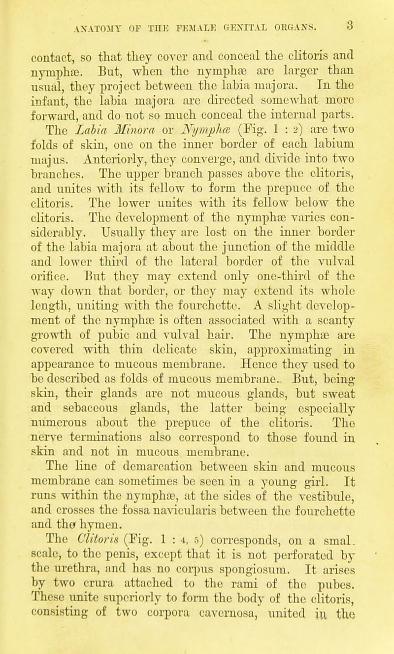 contact, so that they cover and conceal the clitoris and nyniphoe. But, when the nympha) arc larger than usual, they project between the labia niajora. Tn the infant, the labia niajora arc directed somewhat more forward, and do not so much conceal the internal parts. The Labia Minora or Nymphm (Fig. 1 : 2) are two folds of skin, one on the inner border of each labium majus. Anteriorly, they converge, and divide into two branches. The upper branch passes above the clitoris, and unites with its fellow to form the prepuce of the clitoris. The lower unites with its fellow below the clitoris. The development of the nyniphae varies con- siderably. Usually they are lost on the inner border of the labia niajora at about the junction of the middle; and lower third of the lateral border of the vulval orifice. But they may extend only one-third of the way down tbat border, or they may extend its whole length, uniting with the fourchette. A slight develop- ment of the nymphas is often associated with a scanty growth of pubic and vulval hair. The nympha) are covered with thin delicate skin, approximating in appearance to mucous membrane. Hence they used to be described as folds of mucous membrane. But, being skin, their glands are not mucous glands, but sweat and sebaceous glands, the latter being especially numerous about the prepuce of the clitoiis. The nerve terminations also correspond to those found in skin and not in mucous membrane. The line of demarcation between skin and mucous membrane can sometimes be seen in a young girl. It runs within the nympha?, at the sides of the vestibule, and crosses the fossa navicularis between the fourchette and the hymen. The Clitoris (Kg. 1 : 1, 5) corresponds, on a smal. scale, to the penis, except that it is not perforated by the urethra, and has no corpus spongiosum. It arises by two crura attached to the rami of the pubes. These unite superiorly to form the body of the clitoris, consisting of two corpora cavernosa, united iu the