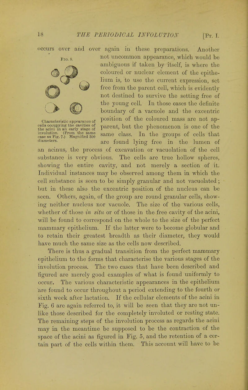 occurs over and over again in these preparations. Another Fl0 8 not uncommon appearance, which would be ambiguous if taken by itself, is where the coloured or nuclear element of the epithe- lium is, to use the current expression, set free from the parent cell, which is evidently not destined to survive the setting free of the young cell. In those cases the definite boundary of a vacuole and the excentric characteristic nppearanco of position of the coloured mass are not ap- th^SttWsiSSf Parent> but the Phenomenon is one of the SS^if^&M same class. In the groups of cells that diameters. are founc[ lying free in the lumen of an acinus, the process of excavation or vacuolation of the cell substance is very obvious. The cells are true hollow spheres, showing the entire cavity, and not merely a section of it. Individual instances may be observed among them in which the cell substance is seen to be simply granular and not vacuolated; but in these also the excentric position of the nucleus can be seen. Others, again, of the group are round granular cells, show- ing neither nucleus nor vacuole. The size of the various cells, whether of those in situ or of those in the free cavity of the acini, will be found to correspond on the whole to the size of the perfect mammary epithelium. If the latter were to become globular and to retain their greatest breadth as their diameter, they would have much the same size as the cells now described. There is thus a gradual transition from the perfect mammary epithelium to the forms that characterise the various stages of the involution process. The two cases that have been described and figured are merely good examples of what is found uniformly to occur. The various characteristic appearances in the epithelium are found to occur throughout a period extending to the fourth or sixth week after lactation. If the cellular elements of the acini in Fig. 6 are again referred to, it will be seen that they are not un- like those described for the completely involuted or resting state. The remaining steps of the involution process as regards the acini may in the meantime be supposed to be the contraction of the space of the acini as figured in Fig. 5, and the retention of a cer- tain part of the cells within them. This account will have to be