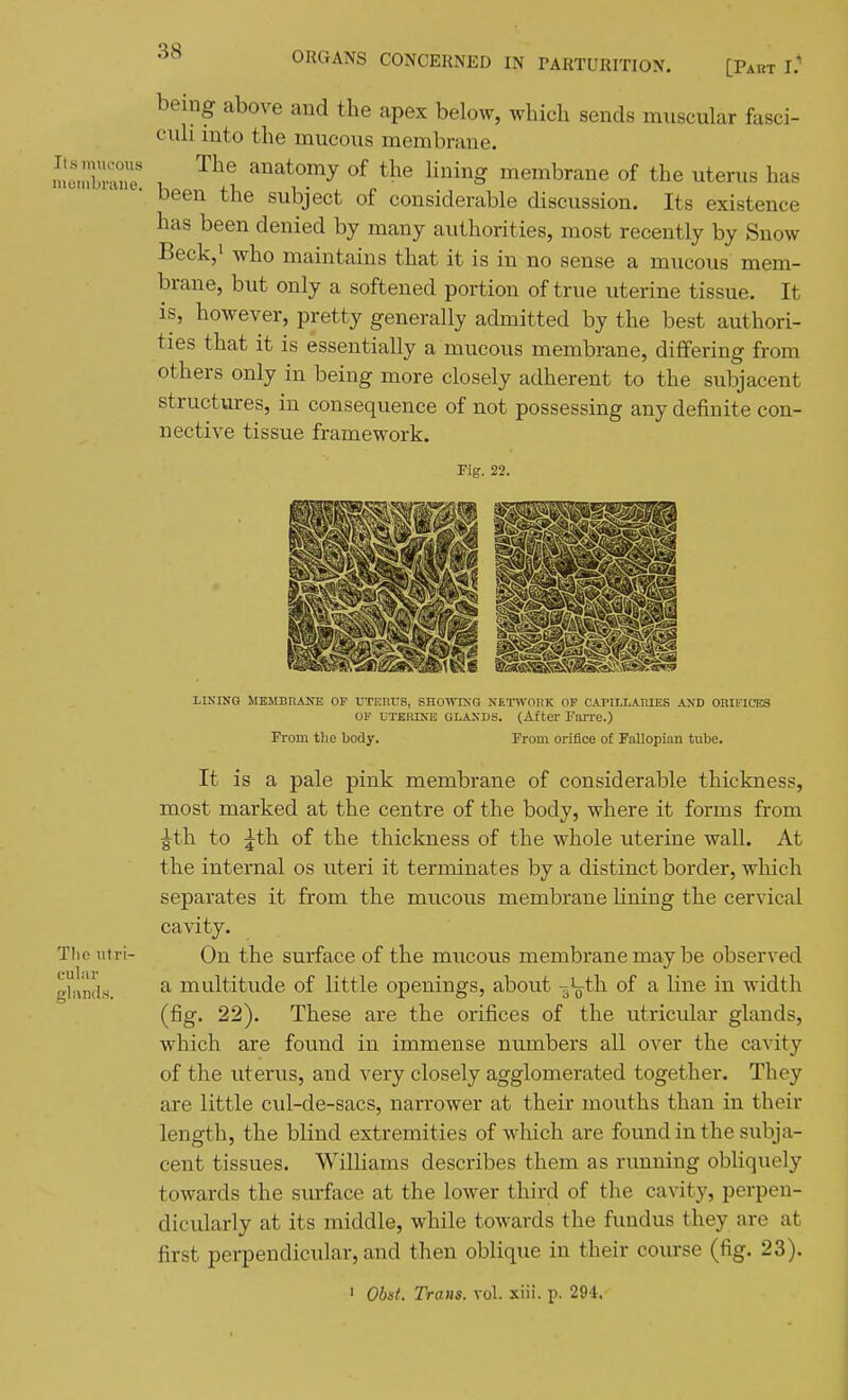 Its miu'oiis nionibrane. The iitri- gli\n(l.s. 38 ORGANS CONCERNED IN PARTURITION. [Part I; being above and the apex below, which sends muscular fasci- culi into the mucous membrane. The anatomy of the lining membrane of the uterus has been the subject of considerable discussion. Its existence has been denied by many authorities, most recently by Snow Beck,! who maintains that it is in no sense a mucous mem- brane, but only a softened portion of true uterine tissue. It is, however, pretty generally admitted by the best authori- ties that it is essentially a mucous membrane, differing from others only in being more closely adherent to the subjacent structures, in consequence of not possessing any definite con- nective tissue framework. Fig. 22. I/Di'INa MKMBIiANE OP UTEHUS, SHOTVIKG NfiTWOnK Or CAPTLLAIIIES AXD OBU'ICES OF UTEniNE GLANDS. (After Farre.) From the body. From orifice of Fallopian tube. It is a pale pink membrane of considerable thickness, most marked at the centre of the body, where it forms from ^th to ^th of the thickness of the whole uterine wall. At the internal os uteri it terminates by a distinct border, which separates it from the mucous membrane lining the cervical cavity. On the surface of the mucous membrane may be observed a multitude of little openings, about i\th of a line in width (fig. 22). These are the orifices of the utricular glands, which are found in immense numbers all over the cavity of the uterus, and very closely agglomerated together. They are little cul-de-sacs, narrower at their mouths than in their length, the blind extremities of which are found in the subja- cent tissues. Williams describes them as running obliquely towards the sturface at the lower third of the cavity, perpen- dicularly at its middle, while towards the fundus they are at first perpendicular, and then oblique in their course (fig. 23). ' Obst. Trans, vol. xiii. p. 294.