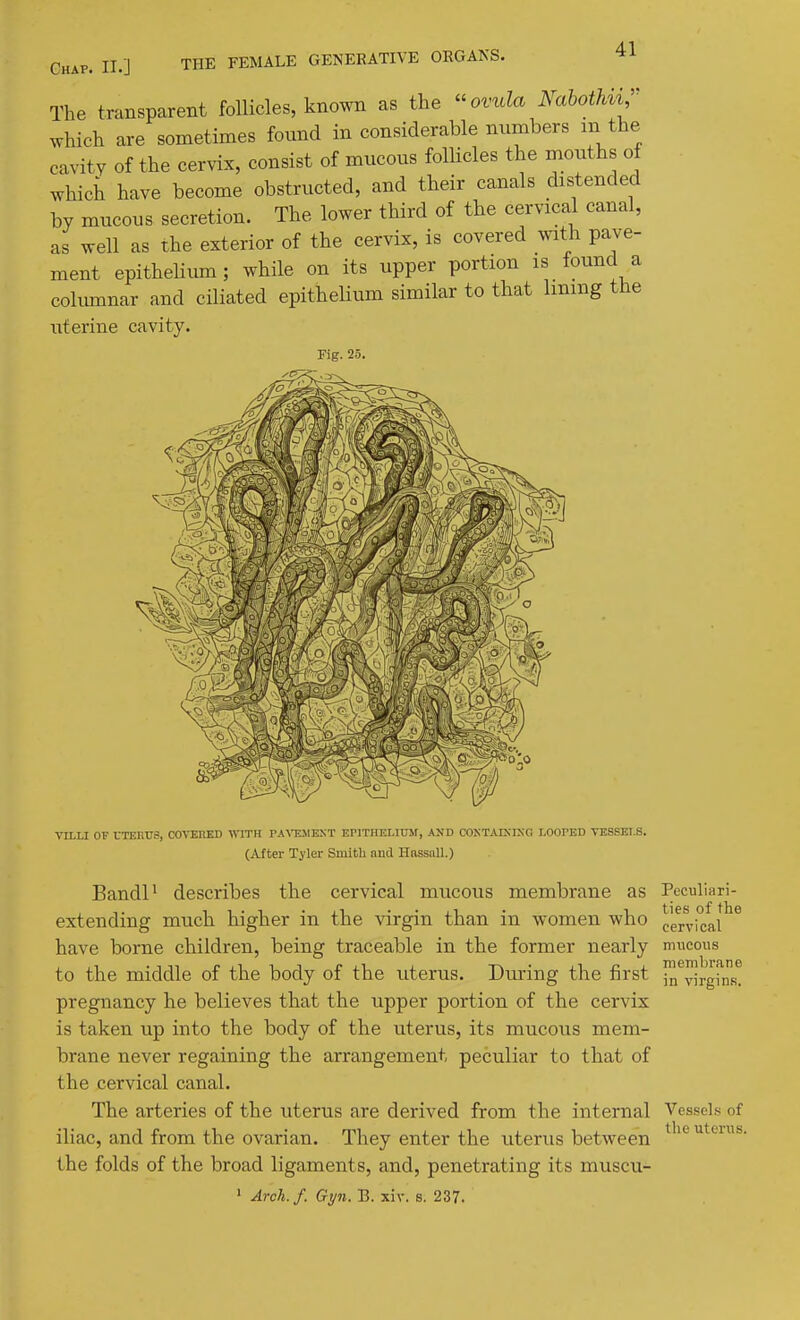 The transparent follicles, known as the ^^ovula NahotUi^' which are sometimes found in considerable nnmbers m the cavity of the cervix, consist of mucous follicles the mouths of which have become obstructed, and their canals distended by mucous secretion. The lower third of the cervical canal, as well as the exterior of the cervix, is covered with pave- ment epithelium; while on its upper portion is tound a columnar and ciliated epithelium similar to that lining the uterine cavity. Fig. 25. in virgins. VILLI OF UTERUS, COVERED WITH PA^'ES1E^■T EPITHELIUM, AND COKTAIXlXa LOOPED VESSELS. (After Tyler Smith and Hassall.) BandP describes the cervical mucous membrane as Peculiari- extending much higher in the virgin than in women who cervical ^ have borne children, being traceable in the former nearly mucous to the middle of the body of the uterus. During the first ^^ '^'^^ pregnancy he believes that the upper portion of the cervix is taken up into the body of the uterus, its mucous mem- brane never regaining the arrangement, peculiar to that of the cervical canal. The arteries of the uterus are derived from the internal iliac, and from the ovarian. They enter the uterus between the folds of the broad ligaments, and, penetrating its muscu- ' Arch.f. Gyn. B. xiv. 8. 237. Vessels of the uterus.