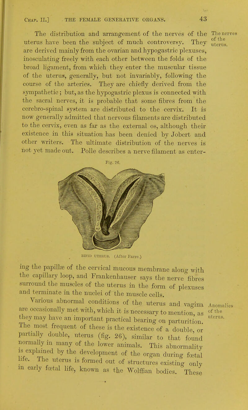 The distribution and arrangement of the nerves of the Tlie nerves f tl ut erus have been the subject of much controversy. They uterus are derived mainly from the ovarian and hypogastric plexuses, inosculating freely with each other between the folds of the broad hgament, from which they enter the muscular tissue of the uterus, generally, but not invariably, following the course of the arteries. They are chiefly derived from the sympathetic; but, as the hypogastric plexus is connected with the sacral nerves, it is probable that some fibres from the cerebro-spinal system are distributed to the cervix. It is now generally admitted that nervous filaments are distributed to the cervix, even as far as the external os, although their existence in this situation has been denied by Jobert and other writers. The ultimate distribution of the nerves is not yet made out. Polle describes a nerve filament as enter- Fig. 2G. ED-ID UTEHCs. (After FaiTC.) ing the papillEs of the cervical mucous membrane along with the capillary loop, and Frankenhauser says the nerve''fibres surround the muscles of the uterus in the form of plexuses and terminate in the nuclei of the muscle cells. Various abnormal conditions of the uterus and vagina are occasionally met with, which it is necessary to mention as they may have an important practical bearing on parturition. The most frequent of these is the existence of a double or partially double, uterus (fig. 26), similar to that found normally m many of the lower animals. This abnormality IS explained by the development of the organ during foetal lite. The uterus is formed out of structures existing only m early foetal Ufe, known as the Wolffian bodies. These Anomalies of the uterus.