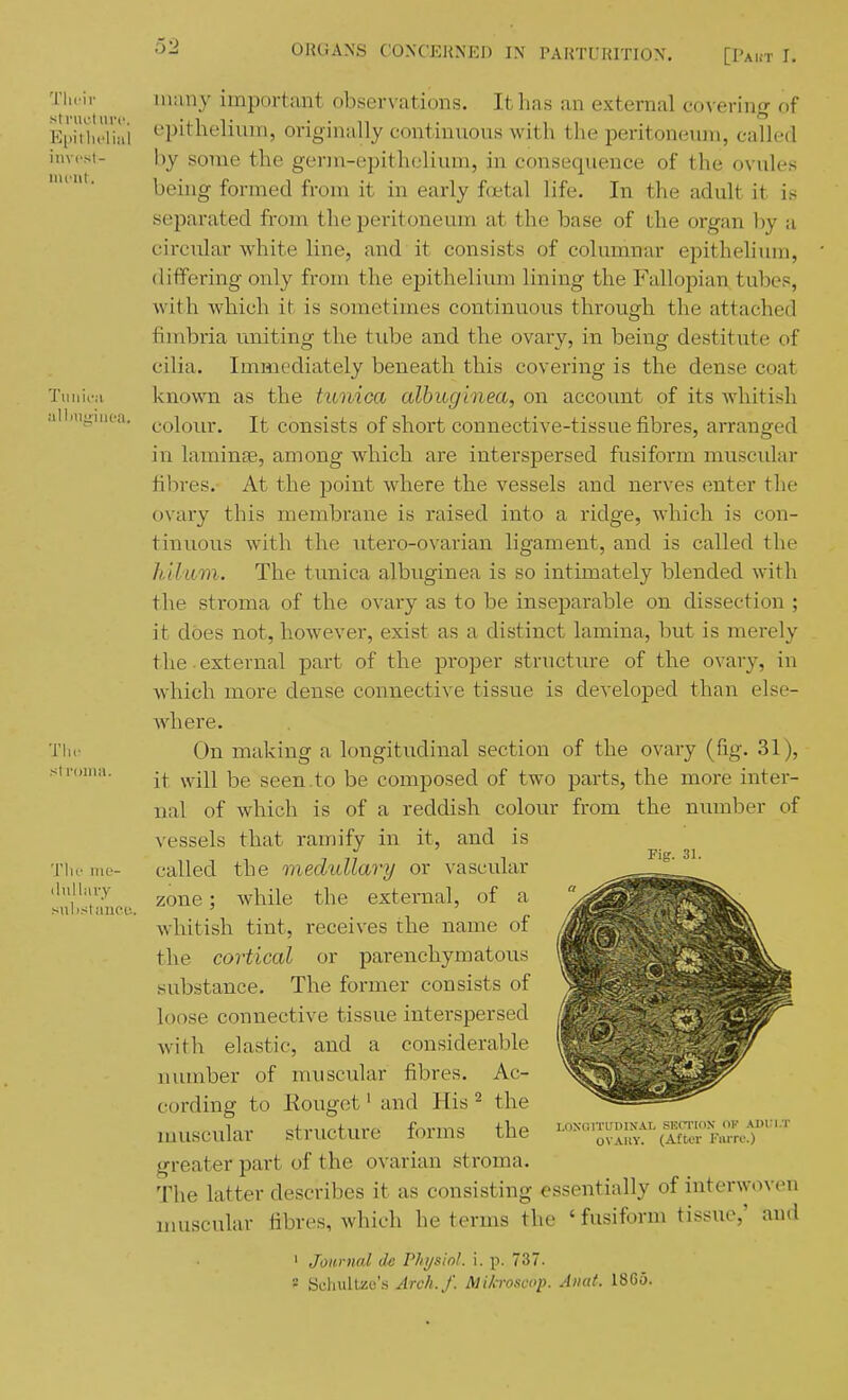 5-2 'I'lu ir many important obser\ ations. It has an external co\-ering of Epit'lu'lial t'pitlielinm, originally continnons with the peritoneum, called invi'si- by some the germ-epithelium, in consequence of the ovules  ■ being formed from it in early f«ital life. In the adult it is separated from the peritoneum at the base of the organ by a circular white line, and it consists of columnar epithelium, differing only from the epithelium lining the Fallopian tubes, with which it is sometimes continuous through the attached fimbria uniting the tube and the ovary, in being destitute of cilia. Immediately beneath this covering is the dense coat TuiiicM known as the tunica albugmea, on account of its whitish allmgiiica. consists of short connective-tissue fibres, arranged in laminae, among which are interspersed fusiform muscular fibres. At the point where the vessels and nerves enter the ovary this membrane is raised into a ridge, which is con- tinuous with the iitero-ovarian ligament, and is called the hllam. The tunica albuginea is so intimately blended with the stroma of the ovary as to be inseparable on dissection ; it does not, however, exist as a distinct lamina, but is merely the • external part of the proper structure of the ovary, in which more dense connective tissue is developed than else- Avhere. Tlir On making a longitudinal section of the ovary (fig. 31), siroma. ^^^-^^ seen.to be composed of two parts, the more inter- nal of which is of a reddish colour from the number of vessels that ramify in it, and is Thr MK- called the meduUary or vascular zone; while the external, of a whitish tint, receives the name of the cortical or parenchymatous substance. The former consists of loose connective tissue interspersed with elastic, and a considerable number of muscular fibres. Ac- cording to Rouget' and His ^ the muscular structure forms the greater part of the ovarian stroma. The latter describes it as consisting essentially of interwoven muscular fibres, which he terms the ' fusiform tissue,' and ' Journal dn Physiol, i. p. 737. 2 Sehullzo's Arch./. Mihroficop. Aiiat. 1865.