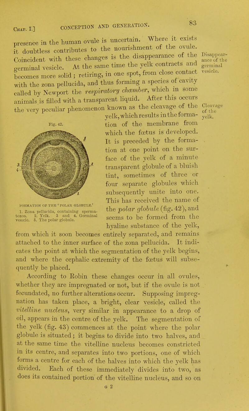 presence in the human ovule is uncertain. Where it exists ft doubtless contributes to the nourishment of the ovule. Coincident with these changes is the disappearance of the terminal vesicle. At the same time the yelk contracts and g,,, becomes more solid ; retiring, in one spot, from close contact ve.de. with the zona pellucida, and thus forming a species of cavity called by Newport the respiratory chamber, which m some animals is fiUed with a transparent liquid. After this occurs the very pecuKar phenomenon known as the cleavage of the Cleavage yelk, which results in the forma- y^i^. Fig. 42. tion of the membrane from which the foetus is developed. It is preceded by the forma- tion at one point on the sur- face of the yelk of a minute transparent globule of a bluish tint, sometimes of three or four separate globules which subsequently unite into one. This has received the name of FOnMATION OF THE ' POLAH GLOBULE.' i l 1 / d a c\\ J 1. Zona pelluciaa, contamtog spe^a- the poUr Cjlohlde (fig. 42 ), and tozoo. 2. Yelk. 3 and 4. Germinal oppTTlts tn bp formed from the vesicle. 6. The polai-globiUe. SCCmS TO UC lOrmtJU ilUlll LUC hyaline substance of the yelk, from which it soon becomes entirely separated, and remains attached to the inner surface of the zona pellucida. It indi- cates the point at which the segmentation of the yelk begins, and where the cephalic extremity of the foetus will subse- quently be placed. * According to Eobin these changes occur in all ovules, whether they are impregnated or not, but if the ovule is not fecundated, no further alterations occur. Supposing impreg- nation has taken place, a bright, clear vesicle, called the vitelline nucleus, very similar in appearance to a drop of oil, appears in the centre of the yelk. The segmentation of the yelk (fig. 43) commences at the point where the polar globule is situated; it begins to divide into two halves, and at the same time the vitelHne nucleus becomes constricted in its centre, and separates into two portions, one of which forms a centre for each of the halves into which the yelk has divided. Each of these immediately divides into two, as does its contained portion of the vitelline nucleus, and so on G 2