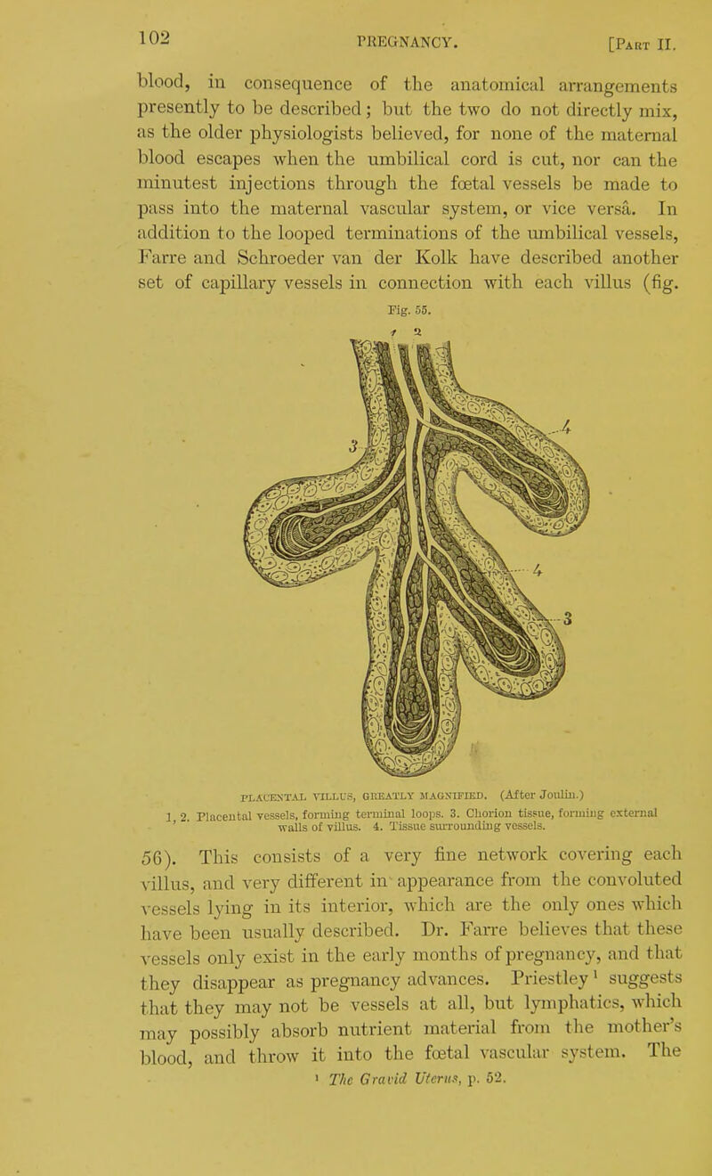 blood, in consequence of the anatomical arrangements presently to be described; but the two do not directly mix, as the older physiologists believed, for none of the maternal blood escapes when the umbilical cord is cut, nor can the minutest injections through the foetal vessels be made to pass into the maternal vascular system, or vice versa. In addition to the looped terminations of the umbilical vessels, Farre and Schroeder van der Kolk have described another set of capillary vessels in connection with each villus (fig. Fig. 55. 1 a PLAt-ESTAL VILLUS, GHEATLY MAGjnFIED. (After Jouliu.) 1 2. Placeutal vessels, forming terminal loops. 3. Chorion tissue, formiug external '  walls of villus. 4. Tissue sm-rouuding vessels. 56). This consists of a very iine network covering each villus, and very different in appearance from the convoluted vessels lying in its interior, which are the only ones which have been usually described. Dr. Fan-e believes that these vessels only exist in the early months of pregnancy, and that they disappear as pregnancy advances. Priestley • suggests that they may not be vessels at all, but lymphatics, which may possibly absorb nutrient material from tlie mother's blood, and throw it into the foetal vascular system. The ' The Gravid liter tin, p. 52.