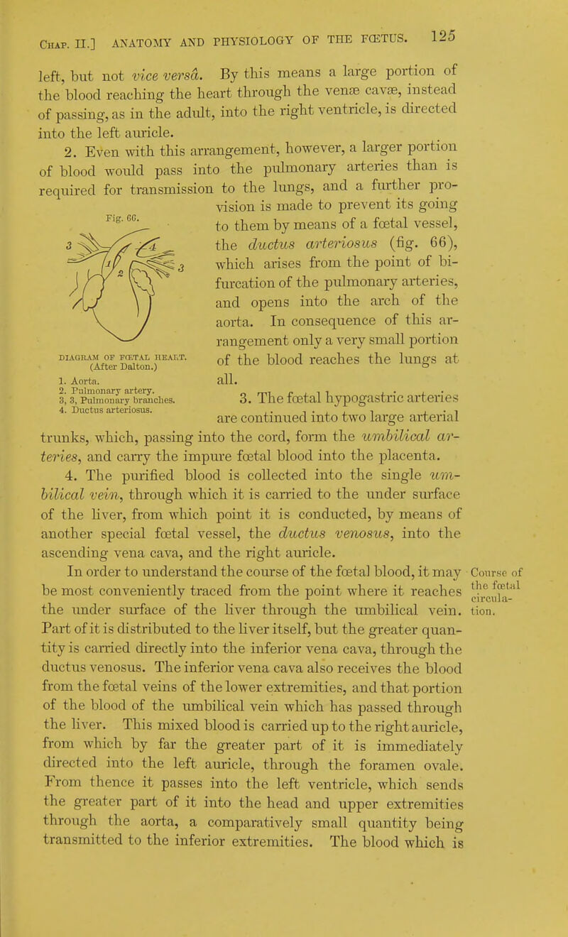 left, but not vice versa. By this means a large portion of the blood reaching the heart through the ven£B cavse, instead of passing, as in the adult, into the right ventricle, is directed into the left auricle. 2. Even with this arrangement, however, a larger portion of blood would pass into the pulmonary arteries than is required for transmission to the lungs, and a fmther pro- vision is made to prevent its going to them by means of a fcetal vessel, the ductus arteriosus (fig. 66), which arises from the point of bi- furcation of the pulmonary arteries, and opens into the arch of the aorta. In consequence of this ar- rangement only a very small portion DiAGn.«^oF FCET.VL iiEAr.T. ^j^g jj^Qod reachcs the lungs at 1. Aorta. all. 3; 3^ PuhMi^ary'^bScbes. 3. The foetal hypogastric arteries 4. Ductus arteriosus. , . i • , , i j_ • i are contmued into two large arterial trunks, which, passing into the cord, form the umhilical ar- teries, and caiTy the impure foetal blood into the placenta. 4. The purified blood is collected into the single U7?i- bilical vein, through which it is carried to the under surface of the liver, from which point it is conducted, by means of another special foetal vessel, the ductus venosus, into the ascending vena cava, and the right auricle. In order to understand the course of the foetal blood, it may Course of be most conveniently traced from the point where it reaches the under surface of the liver through the umbilical vein. tion. Part of it is distributed to the liver itself, but the greater quan- tity is carried directly into the inferior vena cava, through the ductus venosus. The inferior vena cava also receives the blood from the foetal veins of the lower extremities, and that portion of the blood of the umbilical vein which has passed through the liver. This mixed blood is carried up to the right auricle, from which by far the greater part of it is immediately directed into the left auricle, through the foramen ovale. From thence it passes into the left ventricle, which sends the greater part of it into the head and upper extremities through the aorta, a comparatively small quantity being transmitted to the inferior extremities. The blood which is the fcctnl cii'cula-