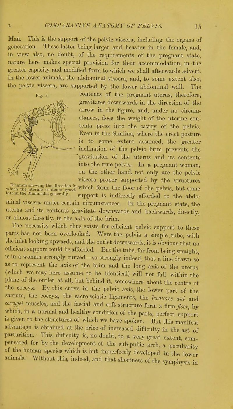 Pig. 3. Man. This is the support of the pelvic viscera, including the organs of generation. These latter being larger and heavier in the female, and, in view also, no doubt, of the requirements of the pregnant state, nature here makes special provision for their accommodation, in the greater capacity and modified form to which we shall afterwards advert. In the lower animals, the abdominal viscera, and, to some extent also, the pelvic viscera, are supported by the lower abdominal wall. The contents of the pregnant uterus, therefore, gravitates downwards in the direction of the arrow in the figure, and, under no circum- stances, does the weight of the uterine con- tents press into the cavity of the pelvis. Even in the Simiina, where the erect posture is to some extent assumed, the greater inclination of the pelvic brim prevents the 'gravitation of the uterus and its contents into the true pelvis. In a pregnant woman, on the other hand, not only are the pelvic viscera proper supported by the structures wh:& ut^TetteX^vi1 which form the floor of the pelvis, but some tate in the Mammalia generally. support is indirectly afforded to the abdo- minal viscera under certam circumstances. In the pregnant state, the uterus and its contents gravitate downwards and backwards, directly, or almost directly, in the axis of the brim. The necessity which thus exists for efficient pelvic support to these parts has not been overlooked. Were the pelvis a simple.tube, with the inlet looking upwards, and the outlet downwards, it is obvious that no efficient support could be afforded. But the tube, far from being straight, is in a woman strongly curved—so strongly indeed, that a line draw? so as to represent the axis of the brim and the long axis of the uterus (which we may here assume to be identical) will not fall within the plane of the outlet at all, but behind it, somewhere about the centre of the coccyx. By this curve in the pelvic axis, the lower part of the sacrum, the coccyx, the sacro-sciatic ligaments, the levatores ani and coccygti muscles, and the fascial and soft structure form a firm floor, by which, in a normal and healthy condition of the parts, perfect support is given to the structures of which we have spoken. But this manifest advantage is obtained at the price of increased difficulty in the act of parturition. • This difficulty is, no doubt, to a very great extent com- pensated for by the development of the sub-pubic arch, a peculiarity of the human species which is but imperfectly developed in the lower animals. Without this, indeed, and that shortness of the symphysis in