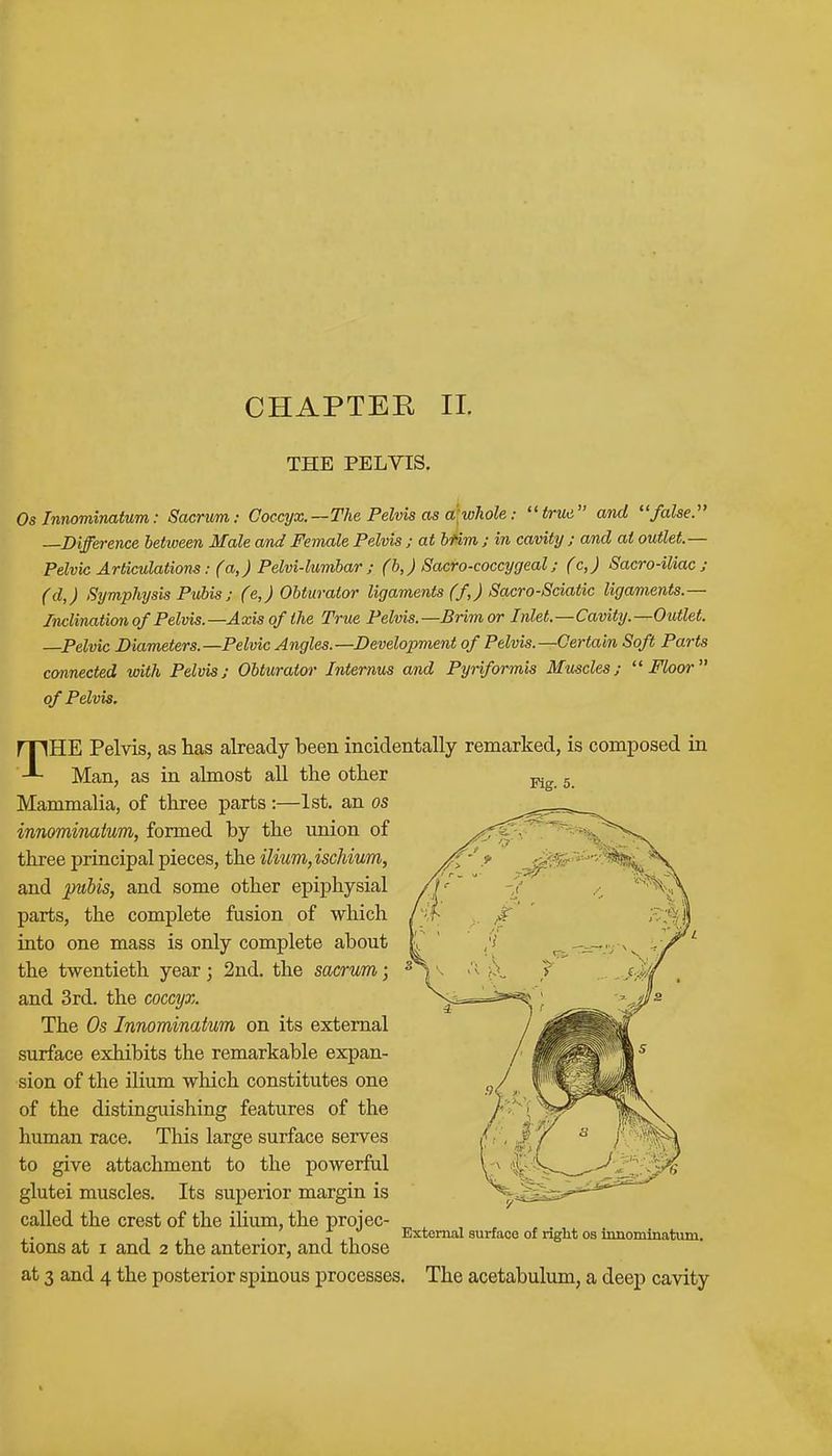 THE PELVIS. Os Innominalum: Sacrum: Coccyx.— The Pelvis as cr whole: true and false. —Difference between Male and Female Pelvis ; at brim ; in cavity ; and at outlet.— Pelvic Articulations: (a,) Pelvi-lumbar ; (b,) Sacrococcygeal; (c,) Sacro-iliac ; (d,) Symphysis Pubis ; (e,) Obturator ligaments (f,) Sacro-Sciatic ligaments.— Inclination of Pelvis.—Axis of the True Pelvis.—Brim or Inlet.—Cavity.—Outlet. —Pelvic Diameters.—Pelvic Angles.—Development of Pelvis.—Certain Soft Parts connected with Pelvis; Obturator Internus and Pyriformis Muscles; Floor of Pelvis. Kg. 5. THE Pelvis, as has already been incidentally remarked, is composed in Man, as in almost all the other Mammalia, of three parts :—1st. an os innominatum, formed by the union of three principal pieces, the ilium,ischium, and pubis, and some other epiphysial parts, the complete fusion of which into one mass is only complete about the twentieth year; 2nd. the sacrum; and 3rd. the coccyx. The Os Innominatum on its external surface exhibits the remarkable expan- sion of the ilium which constitutes one of the distinguishing features of the human race. This large surface serves to give attachment to the powerful glutei muscles. Its superior margin is called the crest of the ilium, the projec- tions at i and 2 the anterior, and those at 3 and 4 the posterior spinous processes. The acetabulum, a deep cavity External surface of right os innominatum.