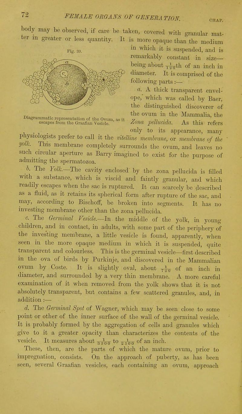 body may be observed, if care be taken, covered with granular mat- ter m greater or less quantity. It is more opaque than the medium pig. bo. in w,,idl ifc is suspended, and is remarkably constant in size- being about of an inch in diameter. It is comprised of the following parts:— a. A thick transparent envel- ope,' which was called by Baer, the distinguished discoverer of n. ., the ovum in the Mammalia, the Diagrammatic representation of the Ovum, as it -7 77-7 . , . „ escapes from the Graafian Vesicle. Z01ia peilUCldd. As tlllS refers only to its appearance, many physiologists prefer to call it the vitelline membrane, or membrane of the yolk. This membrane completely surrounds the ovum, and leaves no such circular aperture as Barry imagined to exist for the purpose of admitting the spermatozoa. b. The Yoik.— The cavity enclosed by the zona pellucida is filled with a substance, which is viscid and faintly granular, and which readily escapes when the sac is ruptured. It can scarcely be described as a fluid, as it retains its spherical form after rapture of the sac, and may, according to Bischoff, be broken into segments. It has no investing membrane other than the zona pellucida. c. The Germinal Vesicle.—In the middle of the yolk, in young children, and in contact, in adults, with some part of the periphery of the investing membrane, a little vesicle is found, apparently, when seen in the more opaque medium in which it is suspended, quite transparent and colourless. This is the germinal vesicle—first described in the ova of birds by Purkinje, and discovered in the Mammalian ovum by Coste. It is slightly oval, about TlL. of an inch in diameter, and surrounded by a very thin membrane. A more careful examination of it when removed from the yolk shows that it is not absolutely transparent, but contains a few scattered granules, and, in addition:— d. The Germinal Spot of Wagner, which may be seen close to some point or other of the inner surface of the wall of the germinal vesicle. It is probably formed by the aggregation of cells and granules which give to it a greater opacity than characterizes the contents of the vesicle. It measures about to a *00 of an inch. These, then, are the parts of which the mature ovum, prior to impregnation, consists. On the approach of puberty, as has been seen, several Graafian vesicles, each containing an ovum, approach