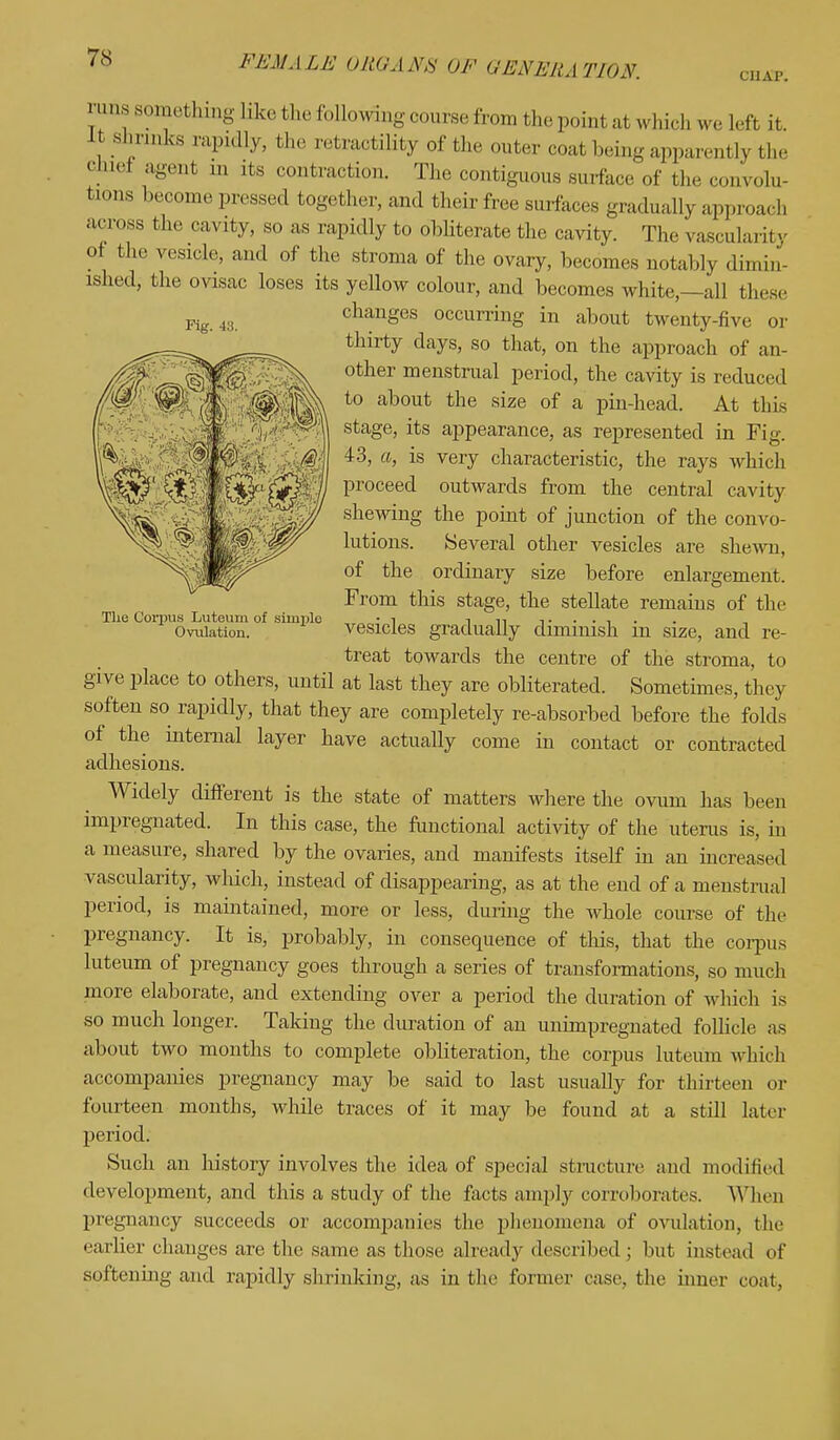 chap. Fig. «. The Corpus Luteum of simjjle Ovulation. mnssomething like the following course from the point at which we left it. Lt shrinks rapidly, the retractility of the outer coat being apparently the chiel agent in its contraction. The contiguous surface of the convolu- tions become pressed together, and their free surfaces gradually approach across the cavity, so as rapidly to obliterate the cavity. The vascularity ot the vesicle, and of the stroma of the ovary, becomes notably dimin- ished, the ovisac loses its yellow colour, and becomes white—all these changes occurring in about twenty-five or thirty clays, so that, on the approach of an- other menstrual period, the cavity is reduced to about the size of a pin-head. At this stage, its appearance, as represented in Fig. 43, a, is very characteristic, the rays which proceed outwards from the central cavity shewing the point of junction of the convo- lutions. Several other vesicles are shewn, of the ordinary size before enlargement. From this stage, the stellate remains of the vesicles gradually diminish in size, and re- treat towards the centre of the stroma, to give place to others, until at last they are obliterated. Sometimes, they soften so rapidly, that they are completely re-absorbed before the folds of the internal layer have actually come in contact or contracted adhesions. Widely different is the state of matters where the ovum has been impregnated. In this case, the functional activity of the uterus is, in a measure, shared by the ovaries, and manifests itself in an increased vascularity, wliich, instead of disappearing, as at the end of a menstrual period, is maintained, more or less, during the whole course of the pregnancy. It is, probably, in consequence of this, that the corpus luteum of pregnancy goes through a series of transformations, so much more elaborate, and extending over a period the duration of which is so much longer. Taking the duration of an unimpregnated follicle as about two months to complete obliteration, the corpus luteum which accompanies pregnancy may be said to last usually for thirteen or fourteen months, while traces of it may be found at a still later period. Such an history involves the idea of special structure and modified development, and this a study of the facts amply corroborates. When pregnancy succeeds or accompanies the phenomena of (n idation, the earlier changes are the same as those already described ; but instead of softenhig and rapidly shrinking, as in the former case, the inner coat,