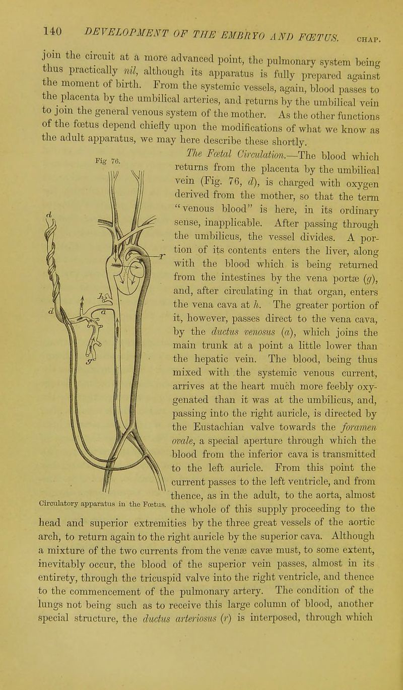 chap. join tlu, circuit at a more advanced point, the pulmonary system being thus practically nil, although its apparatus is fully prepared against the moment of birth. From the systemic vessels, again, blood passes to the placenta by the umbilical arteries, and returns by the umbiHcal vein to join the general venous system of the mother. As the other functions of the foetus depend chiefly upon the modifications of what we know as the adult apparatus, we may here describe these shortly. The Foetal Circulation.—The blood which returns from the placenta by the umbilioal vein (Fig. 76, d), is charged with oxygen derived from the mother, so that the term venous blood is here, in its ordinary sense, inapplicable. After passing through the umbilicus, the vessel divides. A por- tion of its contents enters the liver, alone with the blood which is being returned from the intestines by the vena porta? (g), and, after circulating in that organ, enters the vena cava at h. The greater portion of it, however, passes direct to the vena cava, by the ductus venosus (a), which joins the main trunk at a point a little lower than the hepatic vein. The blood, being thus mixed with the systemic venous current, arrives at the heart much more feebly oxy- genated than it was at the umbilicus, and, passing into the right auricle, is directed by the Eustachian valve towards the foramen ovale, a special aperture through which the blood from the inferior cava is transmitted to the left auricle. From this point the current passes to the left ventricle, and from thence, as in the adult, to the aorta, almost the whole of this supply proceeding to the head and superior extremities by the three great vessels of the aortic arch, to return again to the right auricle by the superior cava. Although a mixture of the two currents from the vense cava? must, to some extent, inevitably occur, the blood of the superior vein passes, almost in its entirety, through the tricuspid valve into the right ventricle, and thence to the commencement of the pulmonary artery. The condition of the lungs not being such as to receive this large column of blood, another special structure, the ductus wrteiiosus (r) is interposed, through which Circulatory apparatus in the Foetus.