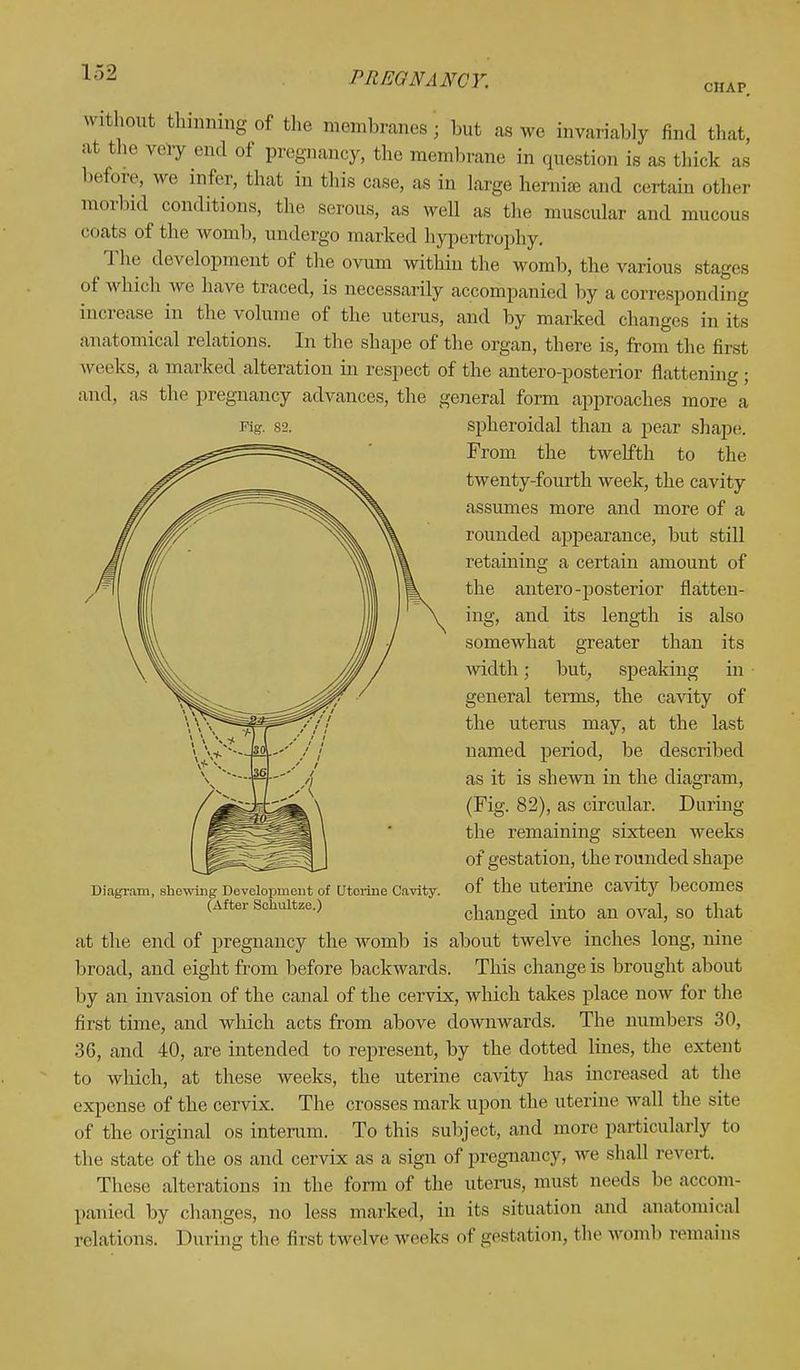 CHAP vnthout thinning of the membranes; but as we invariably find that, at the very end of pregnancy, the membrane in question is as thick as before, we infer, that in this case, as in large hernia; and certain other morbid conditions, the serous, as well as the muscular and mucous coats of the womb, undergo marked hypertrophy. The development of the ovum within the womb, the various sta of which we have traced, is necessarily accompanied by a corresponding increase in the volume of the uterus, and by marked changes in its anatomical relations. In the shape of the organ, there is, from the first weeks, a marked alteration in respect of the antero-posterior flattening ; and, as the pregnancy advances, the general form approaches more a Fig. 82. spheroidal than a pear shape. From the twelfth to the twenty-fourth week, the cavity assumes more and more of a rounded appearance, but still retaining a certain amount of the antero-posterior flatten- ing, and its length is also somewhat greater than its width; but, speaking in general terms, the cavity of the uterus may, at the last named period, be described as it is shewn in the diagram, (Fig. 82), as circular. During the remaining sixteen weeks of gestation, the rounded shape of the uterine cavity becomes changed into an oval, so that at the end of pregnancy the womb is about twelve inches long, nine broad, and eight from before backwards. This change is brought about by an invasion of the canal of the cervix, which takes place now for the first time, and which acts from above downwards. The numbers 30, 36, and 40, are intended to represent, by the dotted lines, the extent to which, at these weeks, the uterine cavity has increased at the expense of the cervix. The crosses mark upon the uterine wall the site of the original os interum. To this subject, and more particularly to the state of the os and cervix as a sign of pregnancy, we shall revert. These alterations in the form of the uterus, must needs be accom- panied by changes, no less marked, in its situation and anatomical relations. During the first twelve weeks of gestation, the womb remains Diagram, shewing Development of Utorine Cavity. (After Schultze.)