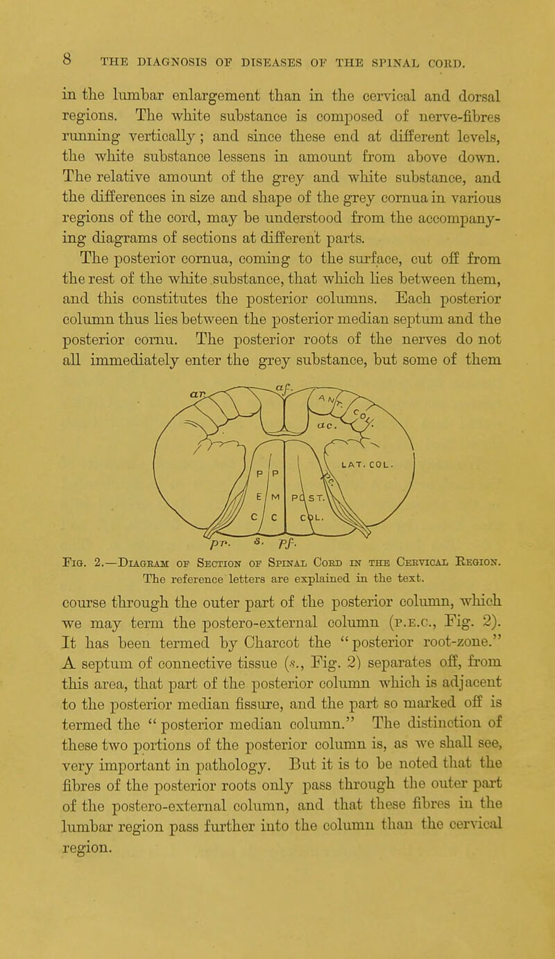 in the lumbar enlargement than in the cervical and dorsal regions. The white substance is composed of nerve-fibres running vertically; and since these end at different levels, the white substance lessens in amount from above down. The relative amount of the grey and white substance, and the differences in size and shape of the grey comua in various regions of the cord, may be understood from the accompany- iag diagrams of sections at different parts. The posterior comua, comiug to the surface, cut off from the rest of the white substance, that which lies between them, and this constitutes the posterior columns. Each posterior column thus lies between the posterior median septum and the posterior comu. The posterior roots of the nerves do not all immediately enter the grey substance, but some of them an. / FlQ. 2.—DiAGEAM OF SECTION OF SpINAL CoED IN THE CeEVICAL ReGION. The reference letters are explained in the text. course through the outer part of the posterior coliunn, which we may term the postero-external column (p.e.g.. Fig. 2). It has been termed by Charcot the  posterior root-zone. A septum of connective tissue (s.. Fig. 2) separates off, fi'om this area, that part of the posterior column which is adjacent to the posterior median fissure, and the part so marked off is termed the  posterior median column. The distinction of these two portions of the posterior column is, as we shall see, very important in pathology. But it is to be noted that the fibres of the posterior roots only pass through tbe outer part of the postero-external column, and that these fibres in the lumbar region pass further into the column than the cervical region.