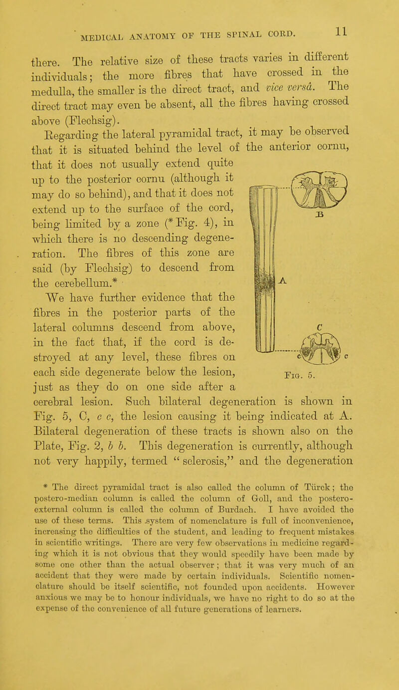 there. The relative size of these tracts varies in different individuals; the more fibres that have crossed in the medulla, the smaller is the direct tract, and vice versa. The dii-ect tract may even be absent, all the fibres having crossed above (Flechsig). Eegardiiig the lateral pyramidal tract, it may be observed that it is situated behind the level of the anterior cornu, that it does not usually extend quite up to the posterior cornu (although it may do so behind), and that it does not extend up to the surface of the cord, being limited by a zone (*Fig. 4), in which there is no descending degene- ration. The fibres of this zone are said (by Flechsig) to descend from the cerebellum.* We have further evidence that the fibres in the posterior parts of the lateral columns descend from above, in the fact that, if the cord is de- stroyed at any level, these fibres on each side degenerate below the lesion, just as they do on one side after a cerebral lesion. Such bilateral degeneration is shown in Fig. 5, C, CO, the lesion causing it being indicated at A. Bilateral degeneration of these tracts is shown also on the Plate, Fig. 2, b b. This degeneration is currently, although not very happily, termed  sclerosis, and the degeneration Pig. 5. * The direct pyramidal tract is also called the column of Tiirck; the postero-median column is called the column of GoU, and tho postero- external column is called the column of Burdach. I have avoided the use of these terms. This .system of nomenclature is full of inconvenience, increasing the difficulties of the student, and leading to frequent mistakes in scientific writings. There ai-o very few observations in medicine regard- ing which it is not obvious that they would speedily have been made by some one other than the actual observer; that it was very much of an accident that they were made by certain individuals. Scientific nomen- clature should be itself scientific, not founded upon accidents. However anxious we may be to honour individuals, we have no right to do so at the expense of tho convenience of all future generations of learners.