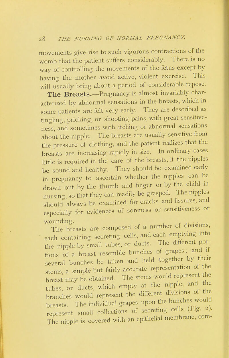 movements give rise to such vigorous contractions of the womb that the patient suffers considerably. There is no way of controlling the movements of the fetus except by having the mother avoid active, violent exercise. This will usually bring about a period of considerable repose. The Breasts.—Pregnancy is almost invariably char- acterized by abnormal sensations in the breasts, which in some patients are felt very early. They are described as tingling, pricking, or shooting pains, with great sensitive- ness, and sometimes with itching or abnormal sensations about the nipple. The breasts are usually sensitive from the pressure of clothing, and the patient realizes that the breasts are increasing rapidly in size. In ordinary cases little is required in the care of the breasts, if the nipples be sound and healthy. They should be examined early in pregnancy to ascertain whether the nipples can be drawn out by the thumb and finger or by the child in nursing so that they can readily be grasped. The nipples should always be examined for cracks and fissures, and especially for evidences of soreness or sensitiveness or wounding. . . The breasts are composed of a number of divisions, each containing secreting cells, and each emptying into the nipple by small tubes, or ducts. The different por- tions of a breast resemble bunches of grapes; and d several bunches be taken and held together by then- stems, a simple but fairly accurate representation of he breast may be obtained. The stems would represent the tubes, or ducts, which empty at the nipple, and the branches would represent the different divisions of tl e breasts. The individual grapes upon the bunches wou d represent small collections of secreting cells (Fig. 2). The nipple is covered with an epithelial membrane, com-