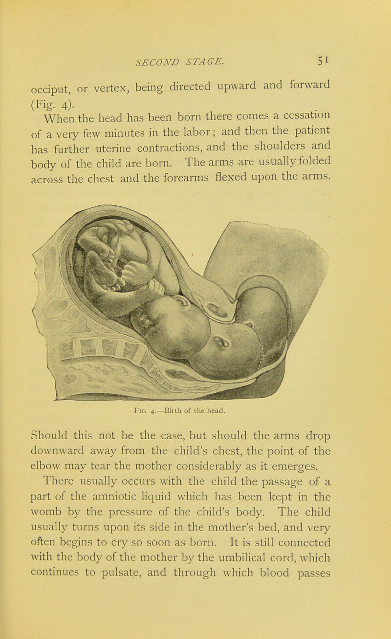 occiput, or vertex, being directed upward and forward (Fig- 4)- When the head has been born there comes a cessation of a very few minutes in the labor; and then the patient has further uterine contractions, and the shoulders and body of the child are born. The arms are usually folded across the chest and the forearms flexed upon the arms. Fig 4.—Birth of the head. Should this not be the case, but should the arms drop downward away from the child's chest, the point of the elbow may tear the mother considerably as it emerges. There usually occurs with the child the passage of a part of the amniotic liquid which has been kept in the womb by the pressure of the child's body. The child usually turns upon its side in the mother's bed, and very often begins to cry so soon as born. It is still connected with the body of the mother by the umbilical cord, which continues to pulsate, and through which blood passes