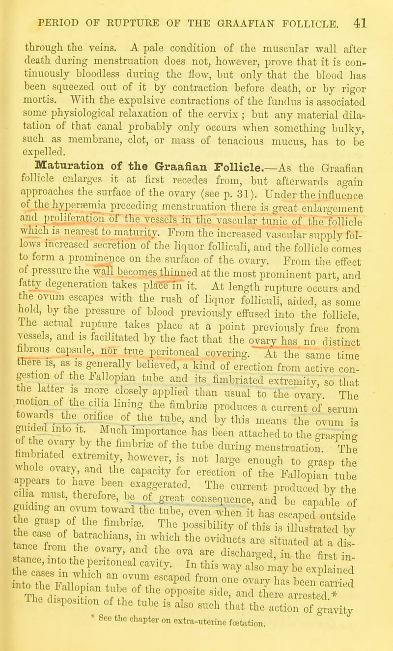 through the veins. A pale condition of the muscular wall after death during menstruation does not, however, prove that it is con- tinuously bloodless during the flow, but only that the blood has been squeezed out of it by contraction before death, or by rigor mortis. With the expulsive contractions of the fundus is associated some physiological relaxation of the cervix ; but any material dila- tation of that canal probably only occurs when something bulky, such as membrane, clot, or mass of tenacious mucus, has to be expelled. Maturation of the Graafian Follicle.—As the Graafian follicle enlarges it at first recedes from, but afterwards again approaches the surface of the ovary (see p. 31). Under the influence of the hyperasmia preceding menstruation there is great enlargement and pi^oljferation of the vessels in the vascular tunic of the follicle which is nearest to maturity. From the increased vascular supply fol- lows increased secretion of the liquor folliculi, and the follicle comes to form a prominence on the surface of the ovary. From the effect of pressure the wall becomes thinned at the most prominent part, and fatty degeneration takes place in it. At length rupture occurs and the ovum escapes with the rush of liquor folliculi, aided, as some hold, by the pressure of blood previously efl-used into the follicle The actual rupture takes place at a point previously free from vessels, and is facilitated by the fact that the ovary has no distinct hbrous capsule, nor true peritoneal covering. At the same time there is, as is generally believed, a kind of erection from active con- gestion of the Fallopian tube and its fimbriated extremity, so that the latter is more closely applied than usual to the ovary. The motion of the cilia lining the fimbriae produces a current of serum towards^ the_^ orifice of the tube, and by this means the ovum is guided into it. Much importance has been attached to the graspinc of the ovary by the fimbriae of the tube during menstruation. The hmbriated extremity, however, is not large enough to grasp the whole ovary, and the capacity for erection of the^ Fallopian^ube appears to have been exaggerated. The current produced by the ciha must, therefore, be^ of great consequence, and be capable of guidmg an ovum toward the tube, even when it has escap Joutside the case of batrachians, m which the oviducts are situated at a dis The disposition of the tube is also such that the action of gravity * SCO the chapter on extra-uterine fcetation.