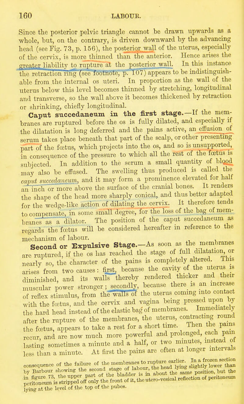 Since the posterior pelvic triangle cannot be drawn upwards as a whole, but, on the contrary, is driven downward by the advancing head (see Fig. 73, p. 156), the posteripr^all of the uterus, especially of the cervix, is more thinned than thranterior. Hence arises the ^^eater liability to rupture at the posterior wall. In this instance the retraction ring (see footnote, p. 107) appears to be indistinguish- able from the internal os uteri. In proportion as the wall of the uterus below this level becomes thinned by stretching, longitudinal and transverse, so the wall above it becomes thickened by retraction or shrinking, chiefly longitudinal. Caput succedaneum in the first stage.—If the mem- branes are ruptured before the os is fully dilated, and especially if the dHatation is long deferred and the pains active, an effusion^ serum takes place beneath that part of the scalp, or other presentmg part of the foetus, which projects into the os, and so is unsupported, in consequence of the pressure to which all the rest of the foetus is subjected. In addition to the serum a small quantity of blgigd may also be effused. The swelling thus produced is caUed the caput succedmuum, and it may form a prominence elevated for half aHlTch^r more above the surface of the cranial bones. It renders the shape of the head more sharply conical, and thus better adapted for the wedge-like action of dilating the cervix. It therefore tends to compensate, in some small degree, for the loss of the bag of mem- bran'Sr^a dilator. The position of the caput succedaneum as regards the foetus wiU be considered hereafter in reference to the mechanism of labour. Second or Expulsive Stage.—As soon as the membranes are ruptured, if the os has reached the stage of full dilatation or nearlv so, the character of the pains is completely altered. This arises from two causes: first, because the cavity of the uterus is diminished, and its walls thereby rendered thicker and their muscular power stronger; secondly, because there is an ~e of reflex stimulus, from the-waffsof the uterus commg into contact with the foetus, and the cervix and vagina being pressed upon by the hard head instead of the elastic bag of membranes. Immediately after the rupture of the membranes, the uterus, contracting round the foetus, appears to take a rest for a short time. Then the pains recur, and ai now much more powerful and prolonged, each pam lasting sometimes a minute and a half, or two mmutes, mstead of less^lmn a minute. At first the pains are often at longer intervals eonse.uenee of the f^l^re of f ™—^^^^ by Barbour showing the second stage °f ^^^^J'^^Ve^^e position, but Uie Srr^^^isSeWo^^^^^^^^ lying at the level of the top of the pubes.