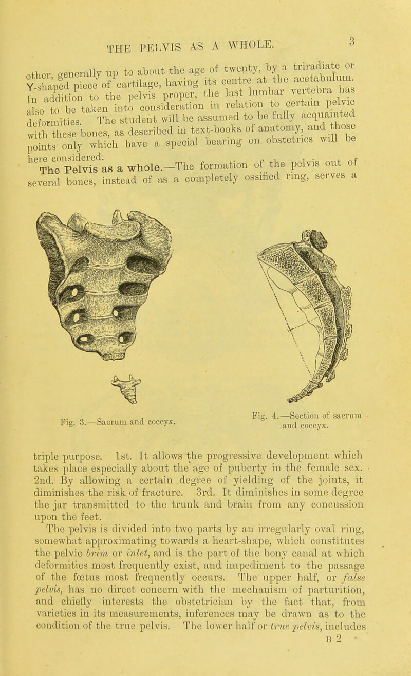 THE PELVIS AS A WHOLE. other generally up to about the age of twenty, by a triradiate 01 Y shaped piece of cartilage, having its centre at the acetabulum in addition to the pelvis proper, the last lumbar vertebra has L to e taken into consideration in relation to certain pelvic deformities. The student will be assumed to be fully acquainted h tee bones, as described in text-books of anatomy, and hose points only which have a special bearing on obstetrics will be The Pelvis'as a whole.-The formation of the pelvis out of several bones, instead of as a completely ossified ring, serves a triple purpose. 1st. It allows the progressive development which takes place especially about the age of puberty iu the female sex. 2nd. By allowing a certain degree of yielding of the joints, it diminishes the risk of fracture. 3rd. It diminishes iu some degree the jar transmitted to the trunk and brain from any concussion upon the feet. The pelvis is divided into two parts by an irregularly oval ring, somewhat approximating towards a heart-shape, which constitutes the pelvic brim or inlet, and is the part of the bony canal at which deformities most frequently exist, and impediment to the passage of the foetus most frequently occurs. The upper half, or false pelvis, has no direct concern with the mechanism of parturition, and chiefly interests the obstetrician by the Fact that, from varieties in its measurements, inferences may be drawn as to the condition of the true pelvis. The lower half or true pelvis, includes