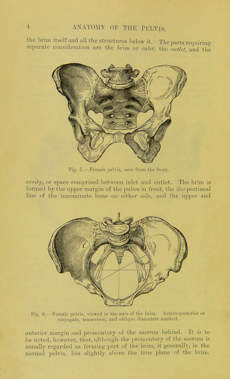 tlir brim it,self and all the structures below it. The parts requiring separate consideration are the brim or inlet, the outlet, and the Fig. 5.—Female pelvis, seen from the front. cavity, or space comprised between inlet and outlet. The brim is formed by the upper margin of the pubes in front, the ilio-pectineal line of the innominate bone on either side, and the upper and Fig. 6.—Female pelvis, viewed in the axis of the brim. Antero-posterior or conjugate, transverse, and oblique diameters marked. anterior margin and promontory of the sacrum behind. It is to be noted, however, that, although the promontory of the sacrum is usually regarded as forming part of the brim, it generally, in the normal pelvis, lies slightly above the true plane of (lie brim.