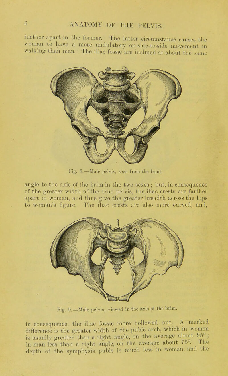 further apart m the former. The latter circumstance causes the woman to have a more uudnlatory or side-to-side movemeni in walking than man. The iliac fossae are inclined at about the same Fig. 8.—Male pelvis, seen from the front. angle to the axis of (lie brim in the two sexes; but, in consequence of the greater width of the true pelvis, the iliac crests are farther apart in woman, and thus give the greater breadth across the hips to woman's figure. The iliac crests are also more curved, and, Fig. 9.—Male pelvis, viewed in the axis of the brim. in consequence, the iliac fossse more hollowed out. A marked difference is the greater width of the pubic arch, which in women is usually greater than a righf angle, on the average aboul in man less than a right angle, on the average about 7o°. The depth of the Symphysis pubis is much less in woman, and the