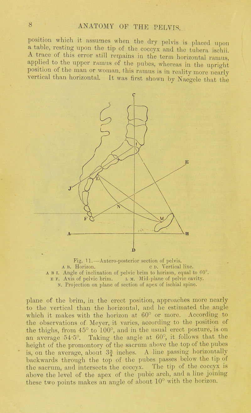 position which it assumes when the dry pelvis is placed upon a table, resting upon the tip of the coccyx and the tubera ischii A trace ot this error still regains in the term horizontal ramus applied to the upper ramus of the pubes, whereas in the upright position of the man or woman, this ramus is in reality more nearly vertical than horizontal. It was first shown by Naegele that the c D Fig. 11.—Antero-posterior section of pelvis. A b. Horizon. C l). Vertical line. a b i. Angle of inclination of pelvic brim to horizon, equal to h'0°. E F. Axis of pelvic brim. L sr. Mid-plane of pelvic cavity. N. Projection on plane of section of apex of ischial spine. plane of the brim, in the erect position, approaches more nearly to the vertical than the horizontal, and he estimated the angle which it makes with the horizon at 60° or more. According to the observations of Meyer, it varies, according to the position of the thighs, from 45° to 100°, and in the usual erect posture, is on an average 54-5°. Taking the angle at 60°, it follows that the height of the promontory of the sacrum above the top of the pubes is, on the average, about 3f inches. A line passing horizontally backwards through the top of the pubes passes below the tip of the sacrum, and intersects the coccyx. The tip of the coccyx is above the level of the apex of the pubic arch, and a line joining these two points makes an angle of about 10° with the horizon.