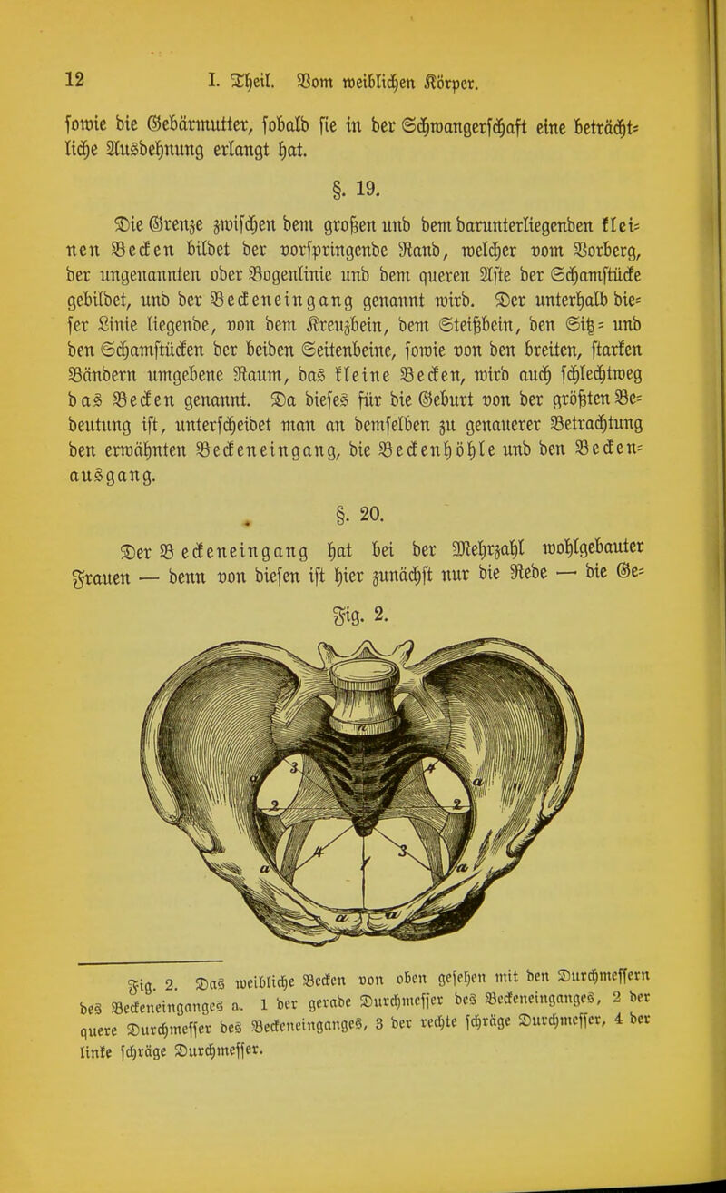I. SC^eil. 33om tt)eibIt(J^en ^lörper. fowic bic ©eBärmutter, foBdb fic in ber ©(^tDattöcrfc^aft eine fccträc^t* lic^e SCuSbelinung erlangt i)at. §. 19. S)ie®ren3e pifd^en bem großen unb bem barunterliegenbeti flci= tten Secfen bilbet ber üorfpringenbe 5Ranb, roelc^er rom SSorberg, ber ungenannten ober §8ogentinie unb bem queren SIfte ber ©(^amftücEe gebilbet, unb ber Sedenetngang genannt rairb. ®er unterhalb bic* fer Sinie liegenbe, von bem ^reu^bein, bem ©tei^bein, ben unb ben ©(^amftüden ber beiben ©eitenbeine, foiüie von ben breiten, ftarfen SSänbern umgebene Sftaum, ba§ Heine ^eden, mirb an^ f(^te(J)traeg ba§ Seden genannt. ®a biefeg für bie ©eburt üon ber größtenSe= beutung ift, unterf(^eibet man an bemfelben ju genauerer 93etra(^tung ben em)ttJ)nten Secfeneingang, bie $8ec£ent)öl^te unb ben Setfen- auSgang. §. 20. 2)er 93 edencingang l^at bei ber 3Ke{)rjat)l rao^Igcbautcr grauen — benn üon biefen ift f)ier junä^ft nur bie 9lebe — bie ©e- gig. 2. g^ig 2 S)a§ lucibtic^e Herfen von oben gefer^en mit ben Surc^mcffern beä iBecfeneingangcS a. 1 ber gerabe S)ur(^mcffer bcö Sccfencingnngeö, 2 ber quere ©urc^meffer be§ Secfcneingangeä, 3 ber rechte fc^räge Surdjmeffcr, 4 ber linle fcfiräge S)urd)mef{er.