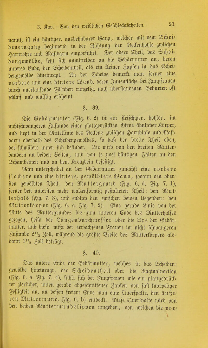 mmt, ift ein putiöer, au§be^nkver (Snno, ioeld;er mit bent @c^ci= beneingatiö beginnenb in ber mä)ixmQ ber «eÄeni)öf)Ie groifcfien •Qanirö^rc nnb OJiaftbann entporfütirt. S)er obere ba§ 6(^ei= bengetüölbe, fe|t fid; unmittelbar an bie ©ebännutter an, beren untere^S CSnbe, ber ©d^eibentfieir, aU ein fleiner Rapfen in baS ©d)ei= benseioölbe hineinragt. 3ln ber ©c^eibe bemerft man fenier eine Morbere nnb eine l)intere SBanb, beren Innenfläche bei Jungfrauen burd^ querlaufenbe g-ältc^en rungelig, nad; überftanbenen ©eburten oft fdjlaff nnb loulftig erfc^eint. §. 39. ?Die Gebärmutter (^ig. (5. 2) ift ein fleif(|iger, l)ol)ler, im nid)t)(|tt)angeren ^uftanbe einer plattgebrüdten Sirne ä^nlid^er Körper, unb liegt in ber 9Jtittellinie beS S3eden§ smifd^en ^arnblafe unb Tla^U barm oberlialb beS ©(|eibengen)ötbe§, fo ba^ ber breite ^fieil oben, ber fc^mälere unten fid; befinbet. ©ie rairb von ben breiten 9)hitter= bänbern an beiben ©eiten, nnb von je jiDei putigen galten an ben ©c^ambeinen unb an bem J?reujbein befeftigt. W.an unterfc^eibet an ber ©ebärmutter pnäc^ft eine Dorbere flttdiere unb eine l)intere, gemölbtere SBanb, fobann ben ober= ften geraölbten ^l)eil: ben SJluttergrunb (gig. 6, d. gig. 7. 1), femer ben unterften mel)r maljenförmig geftalteten Z'iftil: ben Wlnt- ler{)al§ @ig. 7. 3), unb enUiä) ben jroifd^en beiben liegenben: ben 9Jiutterförper (gig. 6. c. gig. 7. 2). ®ine gerabe Sinie ron ber 3}iitte be§ 9Jluttergrunbe§ big • jum unteren 6nbe be§ 9)hitterl)alfe§ gebogen, fiei^t ber Sängenburd;meffer ober bie Slye ber ®ebär= mutter, unb biefe mi^t bei erroadjfenen grauen im nic^t fc^iuangeren 3uftanbe 2V2 3°!^/ mälirenb bie größte ^Breite be§ MutterförperS ai^-- bann IV2 QoU beträgt. §. 40. 5Da§ untere (Snbe ber ©ebärmutter, loelc^eg in ba§ ©d^eibem geiöölbe l)ineinragt, ber ©d^eibentl)eil ober bie SSaginalportion (gig. 6. a. gig. 7. 4), fül)lt bei i^ungfranen luie ein plattgebrnd^ ter äierltc^er, unten gerabe abgefd;nittener Rapfen von faft fnorpeliger gcftigfeit an, an beffen freiem (Snbe man eine Cluerfpalte, ben äuBe= ren 3Jiuttermunb, gig. 6. b) entbedt. SDiefe Cluerfpalte mirb üon ben beiben 9)tuttermunbglippen umgeben, von meieren bie vox--