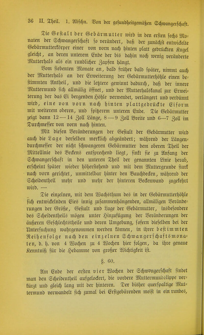 S)ie ©eftatt ber ©ebärmutter wirb in ben erften fec[;5 Mo- naten ber ©d;n)angerfc[;aft fo reränbert, bafe ber junäd;[t entTvicfelte ©ebämiutterförper einer von vovn md) f)inten platt gebrücften Äitge[ gleid;t, an beren unterem ®nbe ber bi§ bai)in noc^ luenig üerönberte 3)hitter{)al§ al§ ein runblic^er 3apfen i)ängt. 3soni fiebenten DJlonate an, batb früJier balb fpäter, nimmt auc^ ber 9}hittert)al§ an ber grroeiternng ber ®ebärmntterl)öJ)Ie einen be= ftimniten 3tnti)eit, unb bie le|tere geminnt baburd), ba^ ber innere 3)hittermnnb fid; allmälig öffnet, unb ber 5)Jtutter£)ar§fanal jur ©rroei-- terung ber ba§ @i bergenben ^ö^le üerraenbet, oerlängert unb oerbünnt TOirb, eine von vom nad^ hinten plattgebrüdte ©iform mit weiterem oberen, unb fpi|erem unteren ©nbe. 3)ie ©ebörmutler geigt bann 12 —14 3ott Sänge, 8 — 9 3ott ^Breite unb 6—7 QoU im S)ur(i^mefier von vorn nac^ tiinten. SJiit biefen 55eränberungen ber ©eftatt ber ©ebörmutter wirb au^ bie Sage berfelbeu merflicä^ abgeönbert; roäiireub ber Sängen* biird)meffer ber nic^t f(^roangeren ©ebärmutter bem oberen ber BJiittettinie beg 33ed'en§ entfpred;enb liegt, finft fie gu Slnfang ber Sc^raangerfc^aft in ben unteren ber genannten ßinie ^erab, erfc^eint fpäler roieber {)öi)erftet)enb unb mit bem 9}iuttergninbe ftarf nac^ rorn gerichtet, unmittelbar Ijinter ben Saud;beden, raäf)renb ber Sd;eibentt;eil met)r unb melir ber I;interen S3e(fenroanb jngefetirt TOirb. — ®ie einzelnen, mit bem 3Bad^gtJ)um be§ in ber ©ebärmutterf)ö^le fid; entraid'elnben 6ie§ innig äufammenljängenben, aümäHgen 3>eräube= rungen ber ©rö^e, ©eftalt unb Sage ber (Gebärmutter, inSbefonbere beg (Sd;eibentl)eil^5 mögen unter Itin^ufugung ber 2>eränberungen ber äußeren @efc^led;t§tt)eile unb beren Umgebung, fofern biefelben bei ber Unterfud;ung roafirgenommen werben fönnen, in if)rer beftimmten 9ieiI)enfoIge nac^ ben einjelnen ©c^maugerfd^oft^mona- ten, b. l). von 4 2Boc^en ju 4 2Bod;en I)ier folgen, ba it)re genaue i^enntuiB für bie Hebamme pou großer 2Bidjtigfeit ift. §. 60. Slnt ©übe ber erften vier 2öod;en ber (5d;iüongerfd;aft finbet man ben (2d;eibeutl)eil aufgelodert, bie uorbere 9)hittenuuubi>lippe oer= fürst unb gteid; lang mit ber Hinteren. 5)er bisher querfpaltige aiiut= termunb permanbelt fic^ gumal bei ©rftgebärenben meift in ein runbe^,