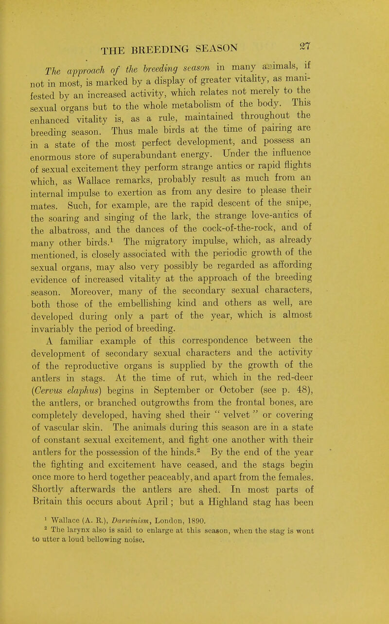 The approach of the breeding season in many animals, if not in most, is marked by a display of greater vitaUty, as mani- fested by an increased activity, which relates not merely to the sexual organs but to the whole metabohsm of the body. This enhanced vitahty is, as a rule, maintained throughout the breeding season. Thus male birds at the time of pairing are in a state of the most perfect development, and possess an enormous store of superabundant energy. Under the influence of sexual excitement they perform strange antics or rapid flights which, as Wallace remarks, probably result as much from an internal impulse to exertion as fi'om any desire to please then- mates. Such, for example, are the rapid descent of the snipe, the soaring and singing of the lark, the strange love-antics of the albatross, and the dances of the cock-of-the-rock, and of many other birds.^ The migratory impulse, which, as ak'eady mentioned, is closely associated with the periodic growth of the sexual organs, may also very possibly be regarded as affording evidence of increased vitahty at the approach of the breeding season. Moreover, many of the secondary sexual characters, both those of the embelUshing land and others as well, are developed during only a part of the year, which is almost invariably the period of breeding. A famihar example of this correspondence between the development of secondary sexual characters and the activity of the reproductive organs is supphed by the growth of the antlers in stags. At the time of rut, which in the red-deer {Cervm elaphus) begins in September or October (see p. 48), the antlers, or branched outgrowths from the fi'ontal bones, are completely developed, having shed their  velvet  or covering of vascular skin. The animals during this season are in a state of constant sexual excitement, and fight one another with their antlers for the possession of the hinds.By the end of the year the fighting and excitement have ceased, and the stags begin once more to herd together peaceably, and apart from the females. Shortly afterwards the antlers are shed. In most parts of Britain this occurs about April; but a Highland stag has been ' Wallace (A. K.), Darwinism, London, 1890. ^ The larynx also is said to enlarge at this season, when the stag is wont to utter a loud bellowing noise.