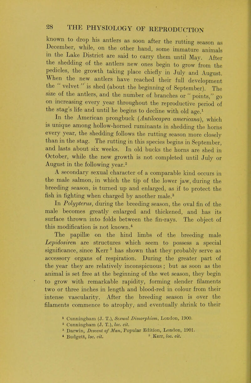 known to drop his antlers as soon after the rutting season as December, while, on the other hand, some immature animals m the Lake District are said to carry them until May. After the shedding of the antlers new ones begin to grow fi-om the pedicles, the growth talcing place chiefly in July and August. When the new antlers have reached their full development the  velvet  is shed (about the beginning of September). The size of the antlers, and the number of branches or  points, go on increasing every year throughout the reproductive period of the stag's hfe and until he begins to decUne with old age.^ In the American prongbuck {Antilocapra americana), which is unique among hollow-horned ruminants in shedding the horns every year, the shedding follows the rutting season more closely than in the stag. The rutting in this species begins in September, and lasts about six weeks. In old bucks the horns are shed in October, while the new growth is not completed until July or August in the following year.^ A secondary sexual character of a comparable kind occurs in the male sahnon, in which the tip of the lower jaw, during the breeding season, is turned up and enlarged, as if to protect the fish in fighting when charged by another male.^ In Polypterus, during the breeding season, the oval fin of the male becomes greatly enlarged and thickened, and has its surface thrown into folds between the fin-rays. The object of this modification is not known.* The papillae on the hind Hmbs of the breeding male Lepidosiren are structures which seem to possess a special significance, since Kerr ^ has shown that they probably serve as accessory organs of respiration. Dming the greater part of the year they are relatively inconspicuous ; but as soon as the animal is set free at the beginning of the wet season, they begin to grow with remarkable rapidity, forming slender filaments two or three inches in length and blood-red in colour from their intense vascularity. After the breeding season is over the filaments commence to atrophy, and eventually shrink to their * Cunningham (J. T.), Sexwd Dimorphism, London, 1900.  Cunningham (J. T.), loc. cit. ^ Darwin, Descent of Man, Popular Edition, London, 1901. * Budgett, loG. cit, Kerr, loo. cit.
