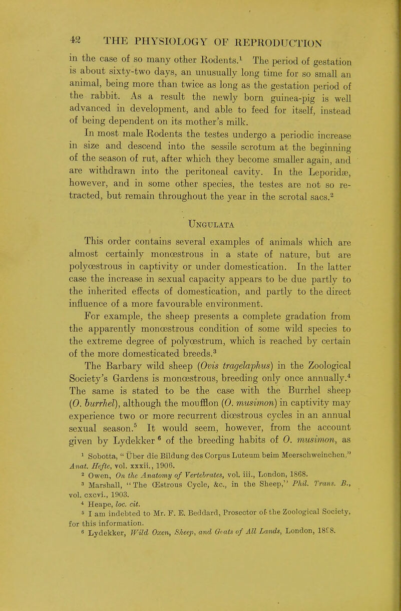 in the case of so many other Rodents.^ The period of gestation IS about sixty-two days, an unusually long time for so small an animal, being more than twice as long as the gestation period of the rabbit. As a result the newly born guinea-pig is well advanced in development, and able to feed for itself, instead of being dependent on its mother's milk. In most male Rodents the testes undergo a periodic increase in size and descend into the sessile scrotum at the beginning of the season of rut, after which they become smaller again, and are withdrawn into the peritoneal cavity. In the Leporidse, however, and in some other species, the testes are not so re- tracted, but remain throughout the year in the scrotal sacs.^ Ungulata This order contains several examples of animals which are almost certainly monoestrous in a state of natm-e, but are polyoestrous in captivity or under domestication. In the latter case the increase in sexual capacity appears to be due partly to the inherited effects of domestication, and partly to the direct influence of a more favourable environment. For example, the sheep presents a complete gradation from the apparently monoestrous condition of some wild species to the extreme degree of polyoestrum, which is reached by certain of the more domesticated breeds.^ The Barbary wild sheep {Ovis tragelaphus) in the Zoological Society's Gardens is monoestrous, breeding only once annually.* The same is stated to be the case with the Burrhel sheep (0. hurrhel), although the moufflon (0. musimon) in captivity may experience two or more recurrent dioestrous cycles in an annual sexual season.^ It would seem, however, from the account given by Lydekker * of the breeding habits of 0. musimon, as ' Sobotta,  Uber die Bildung des Corpus Luteum beim Meerschweinchen, Anat. Heftc, vol. xxxii., 1906. 2 Owen, On the Anatomy of Vertehrates, vol. iii., London, 1868. ' Marshall, The CEstrous Cycle, &c., in the Sheep, Phil. Trans. B., vol. cxcvi., 1903. ■* Heape, loc. cit. 5 I am indebted to Mr. F. E. Bcddard, Prosector of-the Zoological Society, for this information.  Lydekker, Wild Oxen, Sheep, and Ovats of All Lands, London, ISfS.