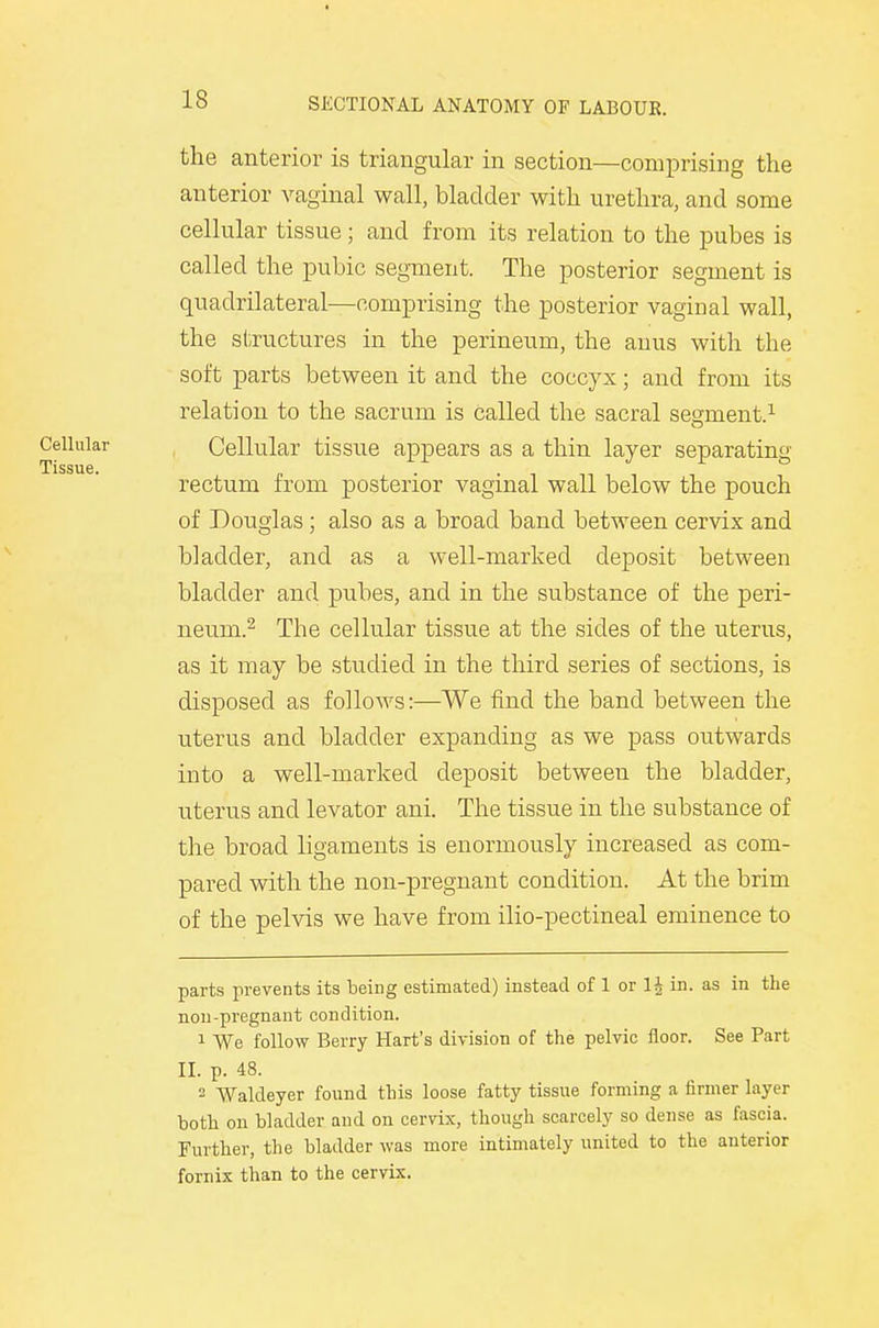 the anterior is triangular in section—comprising the anterior vaginal wall, bladder with urethra, and some cellular tissue; and from its relation to the pubes is called the pubic segment. The posterior segment is quadrilateral—comprising the posterior vaginal wall, the structures in the perineum, the amis with the soft parts between it and the coccyx; and from its relation to the sacrum is called the sacral segment.1 Cellular tissue appears as a thin layer separating rectum from posterior vaginal wall below the pouch of Douglas; also as a broad band between cervix and bladder, and well-marked deposit between bladder and pubes, and in the substance of the peri- neum.2 The cellular tissue at the sides of the uterus, as it may be studied in the third series of sections, is disposed as follows:—We find the band between the uterus and bladder expanding as we pass outwards into a well-marked deposit between the bladder, uterus and levator ani. The tissue in the substance of the broad ligaments is enormously increased as com- pared with the non-pregnant condition. At the brim of the pelvis we have from ilio-pectineal eminence to parts prevents its being estimated) instead of 1 or 1^ in. as in the non-pregnant condition. 1 We follow Berry Hart's division of the pelvic floor. See Part II. p. 48. = Waldeyer found this loose fatty tissue forming a firmer layer both on bladder and on cervix, though scarcely so dense as fascia. Further, the bladder was more intimately united to the anterior fornix than to the cervix.