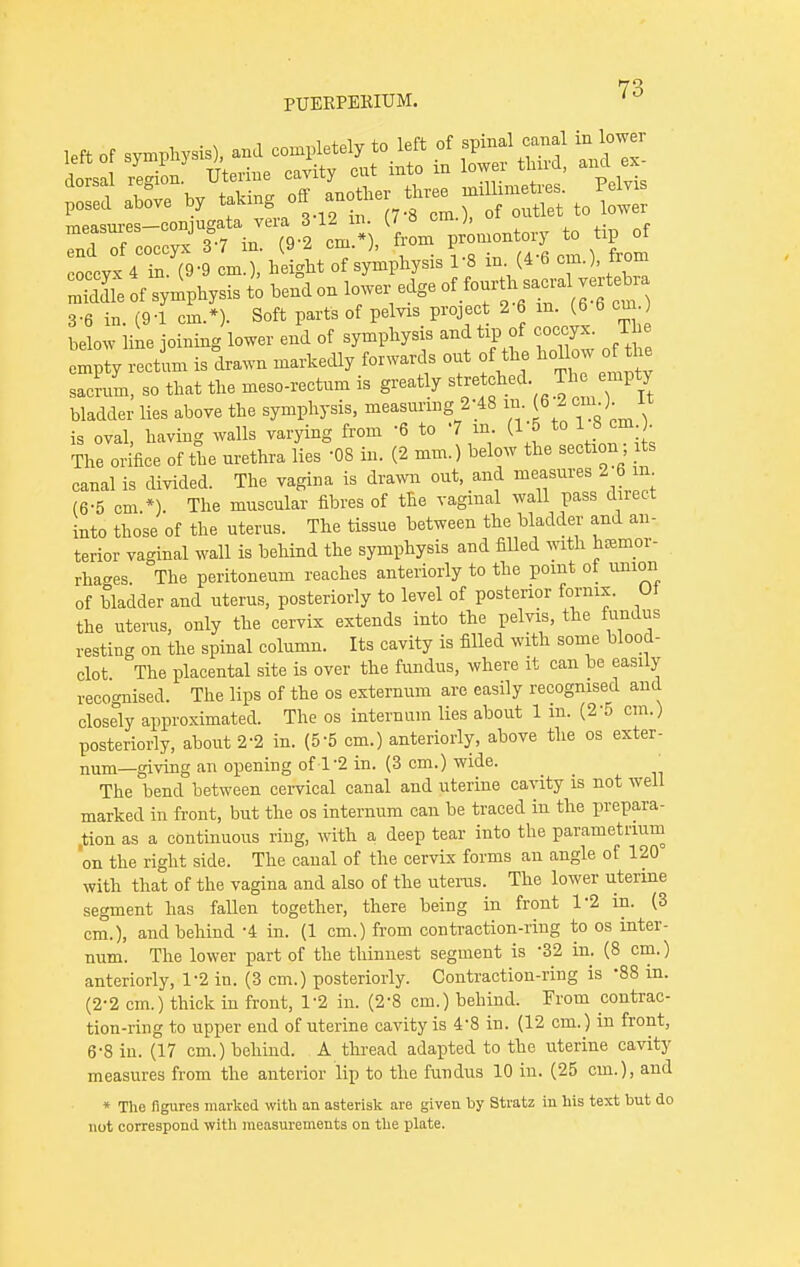 PUEEPEKIUM. 'u left of symphysis), and completely to left of spinal canal mlow dorsal region Uterine cavity cut into in lower thud, and ex measures-conjugata veia 3 12 rn fo tip of ^ 4 (9- -1 4ht oTsyiphysis?« in (« ^ *«* Se of symphysis to bend on lower edge 3-6 in. (9-1 cm.*). Soft parts of pelvis project 2 6 in (6 6 cm below line joining lower end of symphysis and tip of coccyx. The empty rectum is drawn markedly forwards out of the sacrum, so that the meso-rectum is greatly fetched. ™*<*** bladder lies above the symphysis, measuring 2 ;48 in. (6 S cm.). It is oval, having walls varying from -6 to m (15 to1 cm . The orifice of the urethra lies '08 in. (2 mm.) below the section its canal is divided. The vagina is drawn out, and measures 2'6 in (6-5 cm *) The muscular fibres of the vaginal wall pass direct into those of the uterus. The tissue between the bladder and an- terior vaginal wall is behind the symphysis and filled with hemor- rhages The peritoneum reaches anteriorly to the point of union of bladder and uterus, posteriorly to level of posterior fornix. Ol the uterus, only the cervix extends into the pelvis, the fundus resting on the spinal column. Its cavity is filled with some blood- clot The placental site is over the fundus, where it can be easily recognised. The lips of the os externum are easily recognised and closely approximated. The os internum lies about 1 in. (2-5 cm.) posteriorly, about 2-2 in. (5-5 cm.) anteriorly, above the os exter- num—giving an opening of 1'2 in. (3 cm.) wide. _ The bend between cervical canal and uterine cavity is not well marked in front, but the os internum can be traced in the prepara- tion as a continuous ring, with a deep tear into the parametrium 'on the right side. The canal of the cervix forms an angle of 120 with that of the vagina and also of the uterus. The lower uterine segment has fallen together, there being in front 1*2 in. (3 cm.), and behind -4 in. (1 cm.) from contraction-ring to os inter- num. The lower part of the thinnest segment is *32 in. (8 cm.) anteriorly, 1'2 in. (3 cm.) posteriorly. Contraction-ring is '88 in. (2-2 cm.) thick in front, 1'2 in. (2*8 cm.) behind. From contrac- tion-ring to upper end of uterine cavity is 4'8 in. (12 cm.) in front, 6-8 in. (17 cm.) behind. A thread adapted to the uterine cavity measures from the anterior lip to the fundus 10 in. (25 cm.), and * The figures marked with an asterisk are given by Stratz in his text but do not correspond with measurements on the plate.